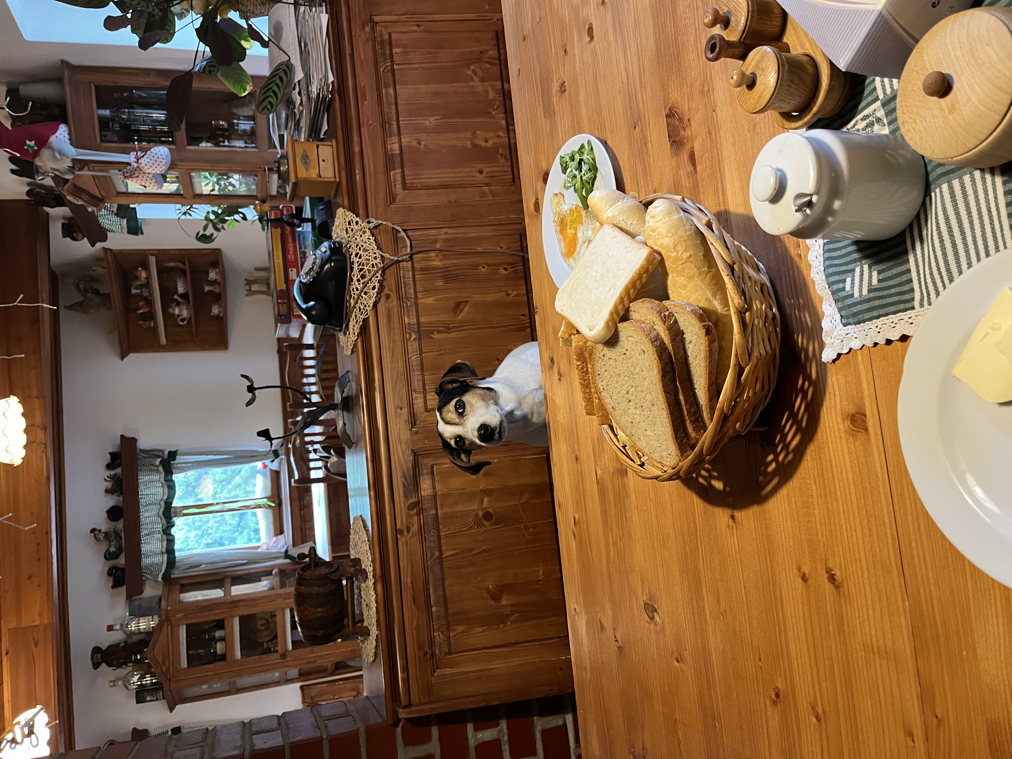 Horská bouda U Kokrháče foto 6