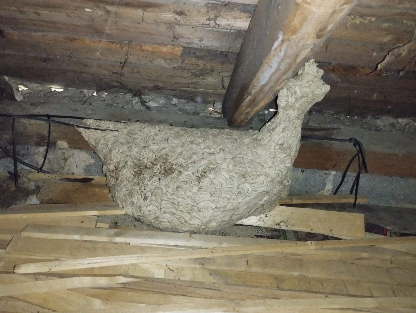 Deratizace Příbram - Michal Šmejkal foto 2