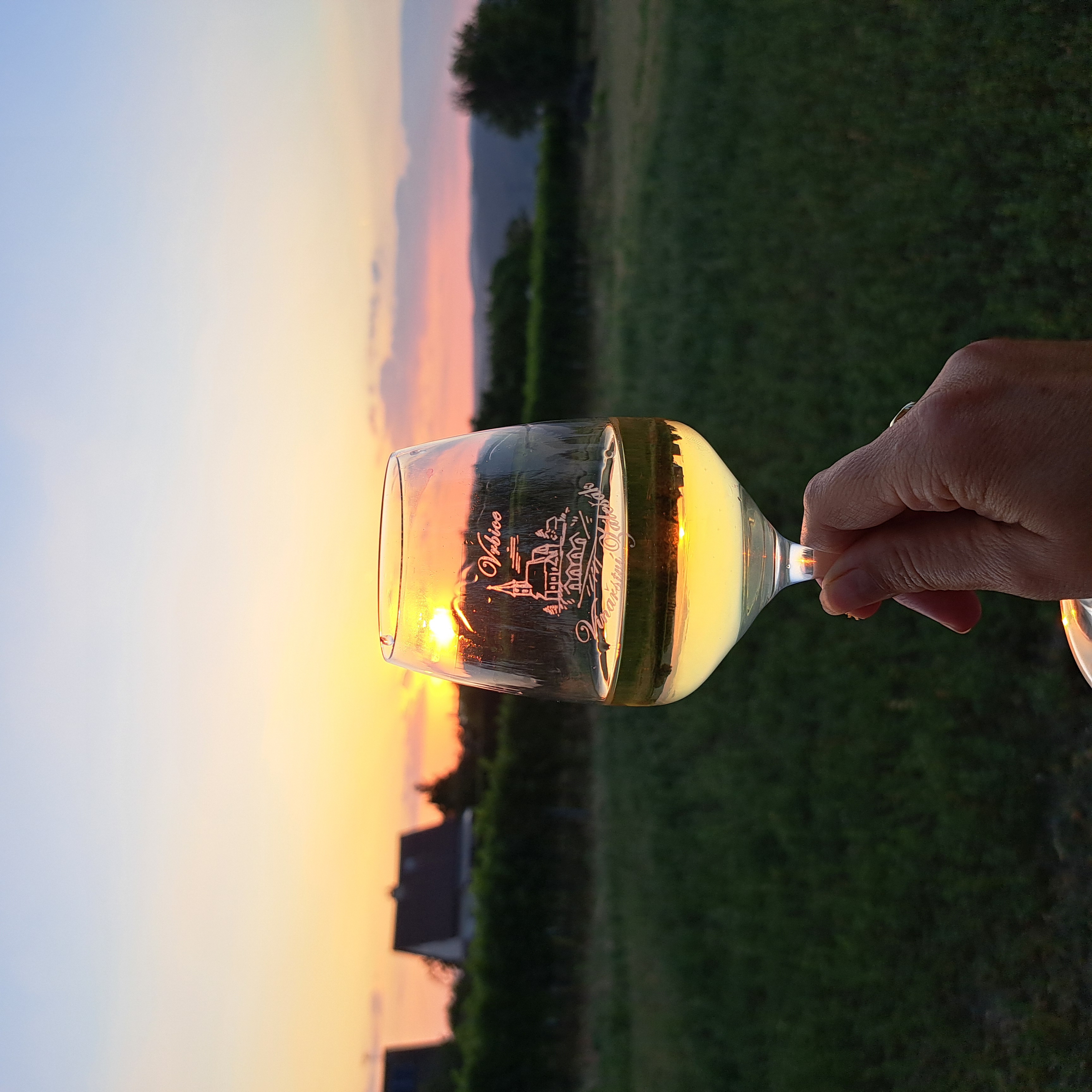 Vinařství Zálešák foto 1