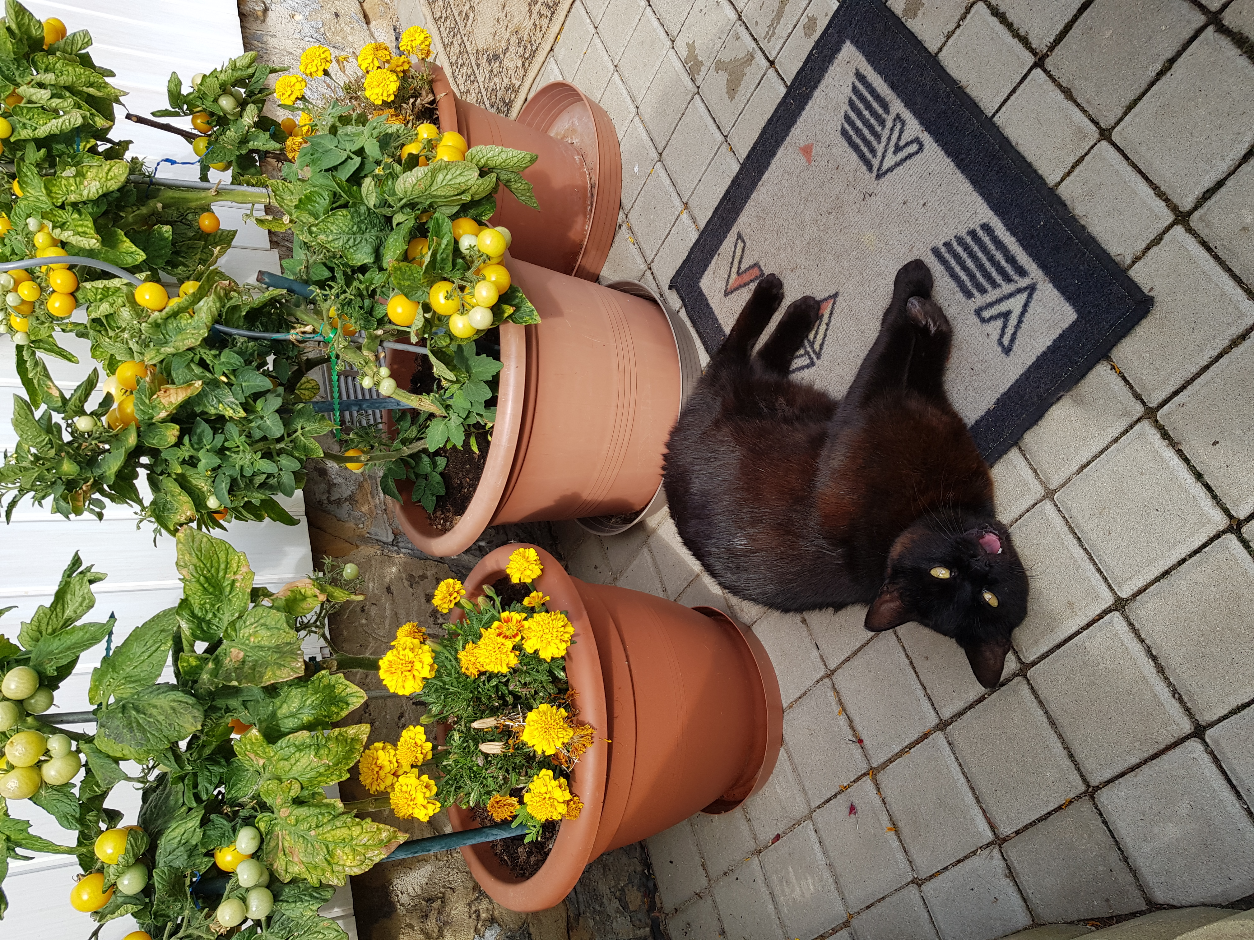 Veterinární klinika MONÁDA foto 2