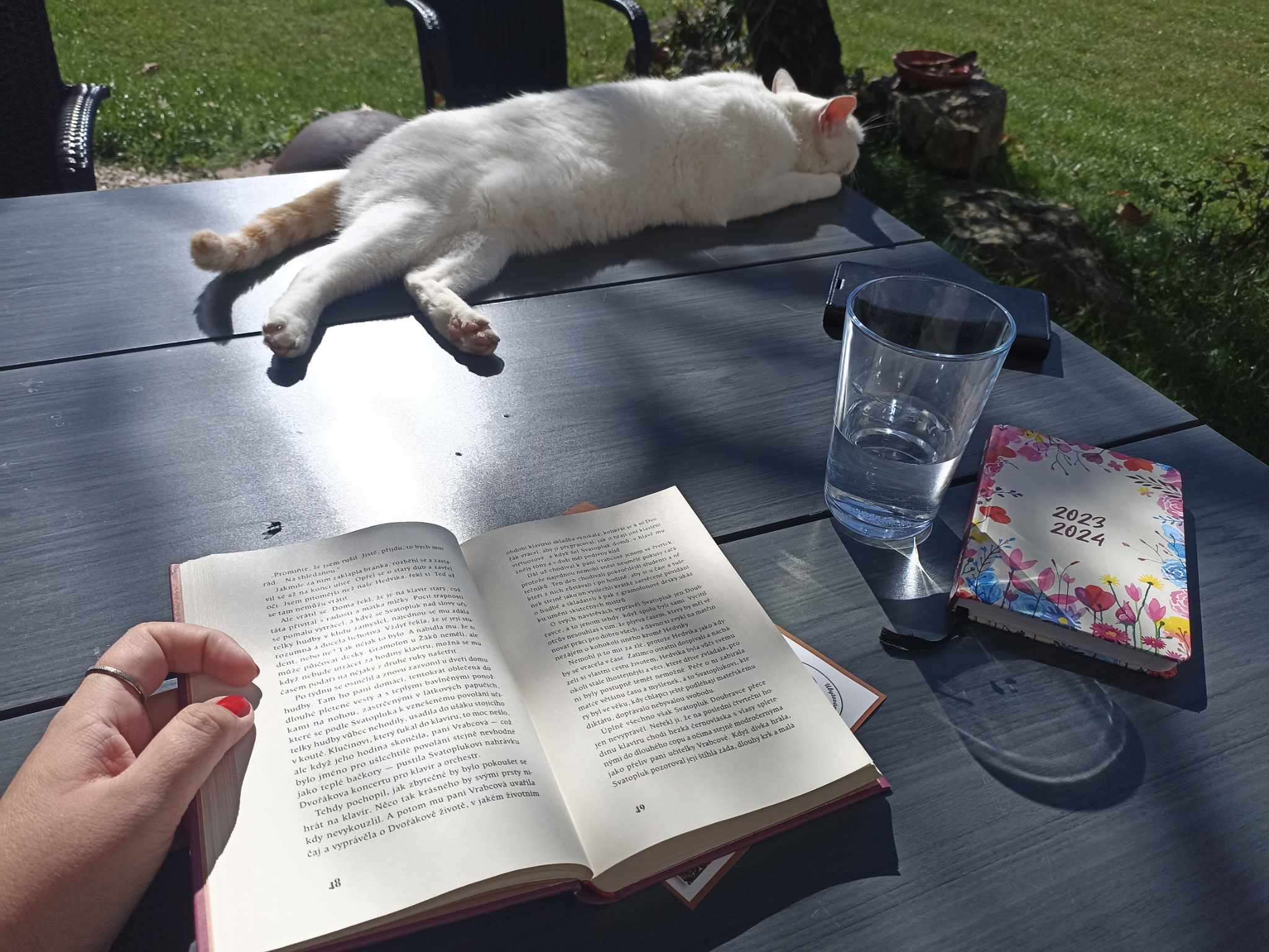 Vejminek na farmě u koní foto 4