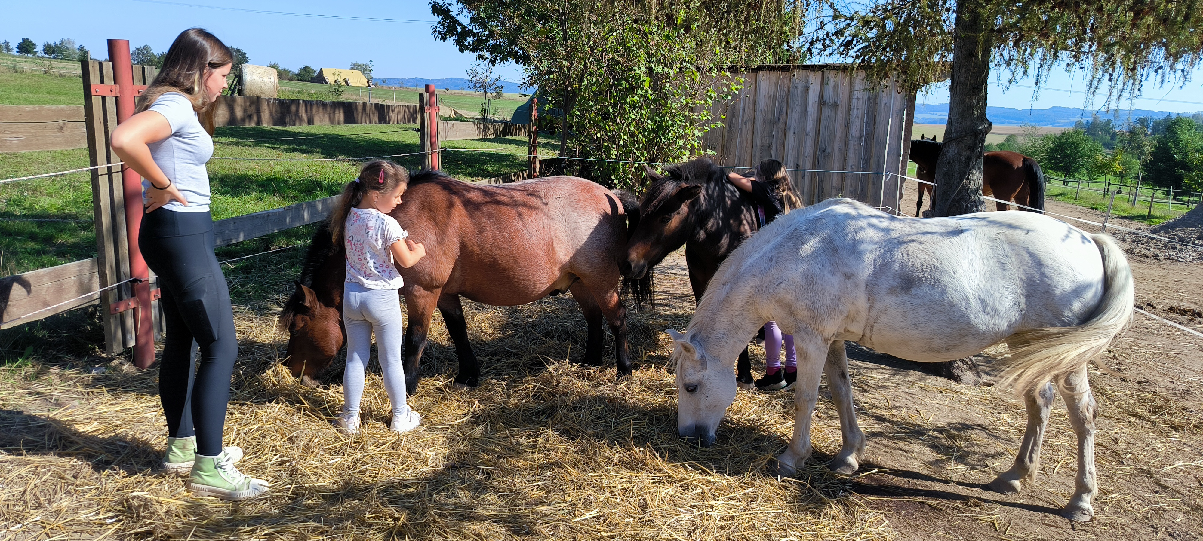 Jezdecký klub Oldřichovská konírna foto 1
