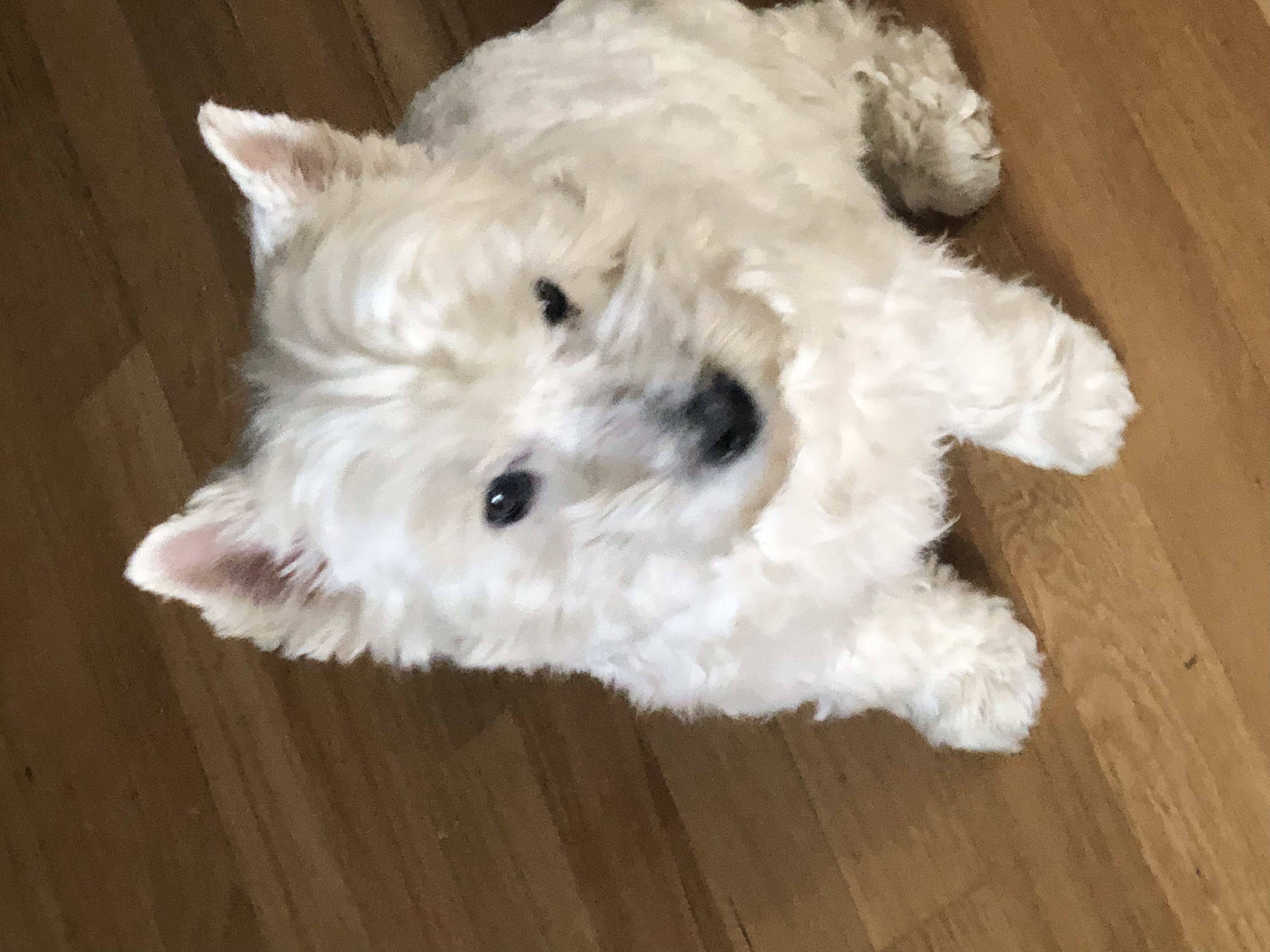 Hana Kačeříková foto 2