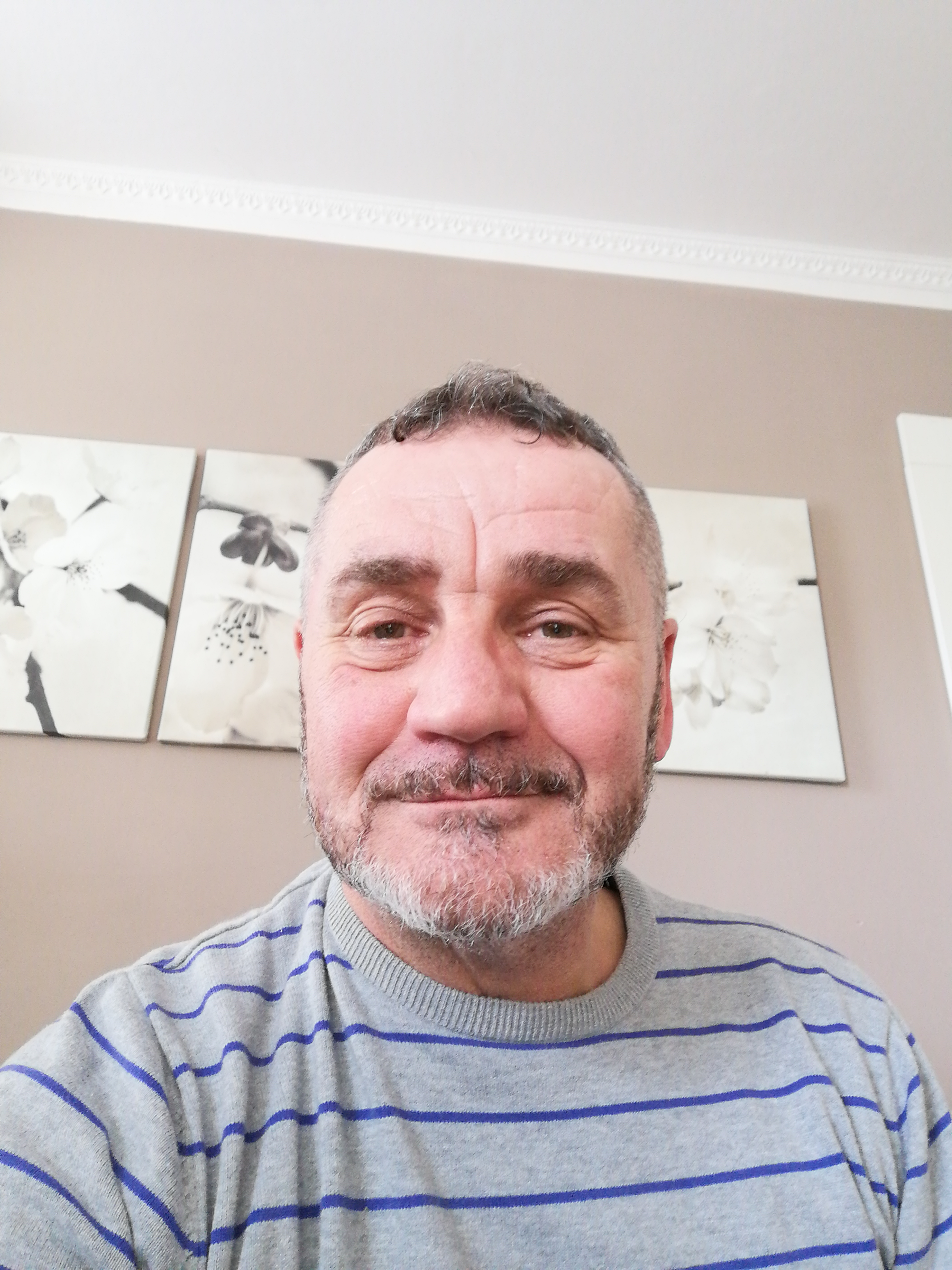 Autoland - Autovrakoviště Renault, Peugeot Sluštice foto 2