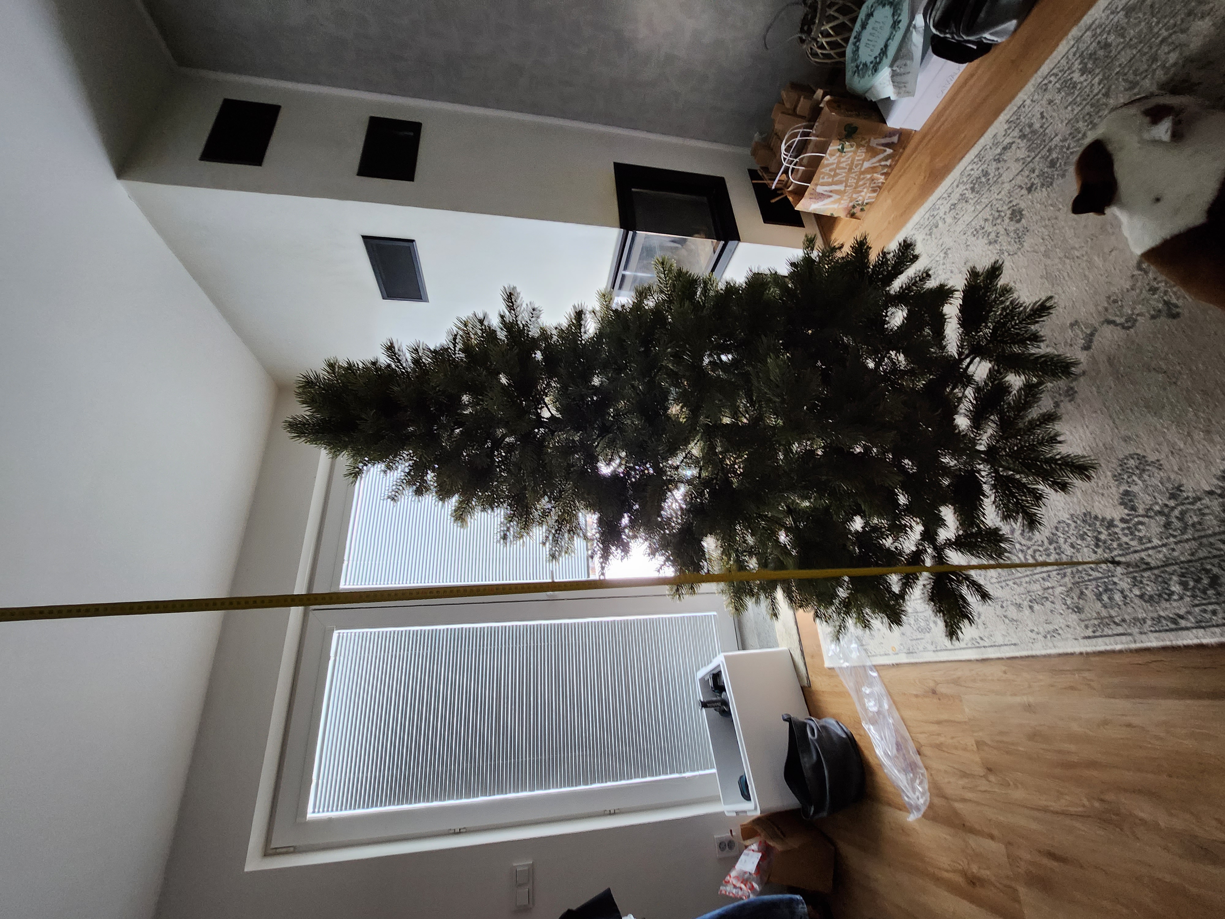 3d-vanocnistromky.cz foto 3