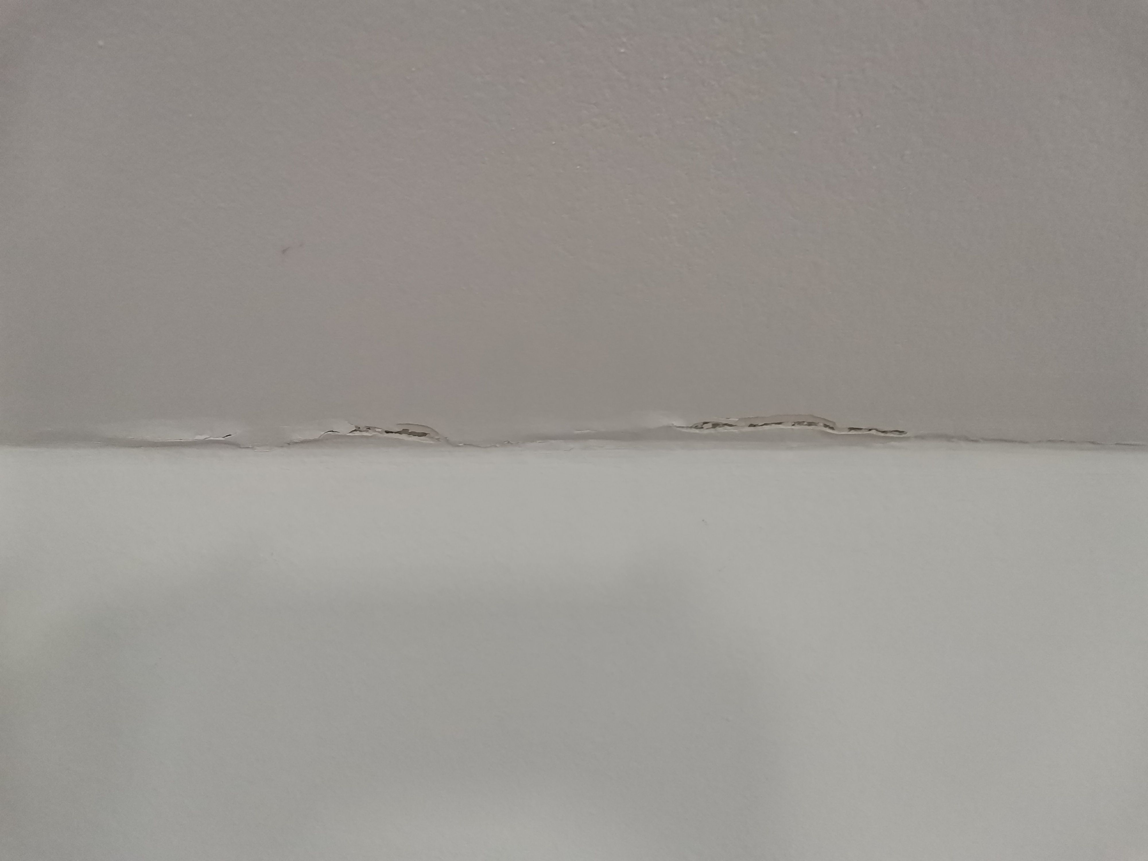 Huisvesting s.r.o. foto 4