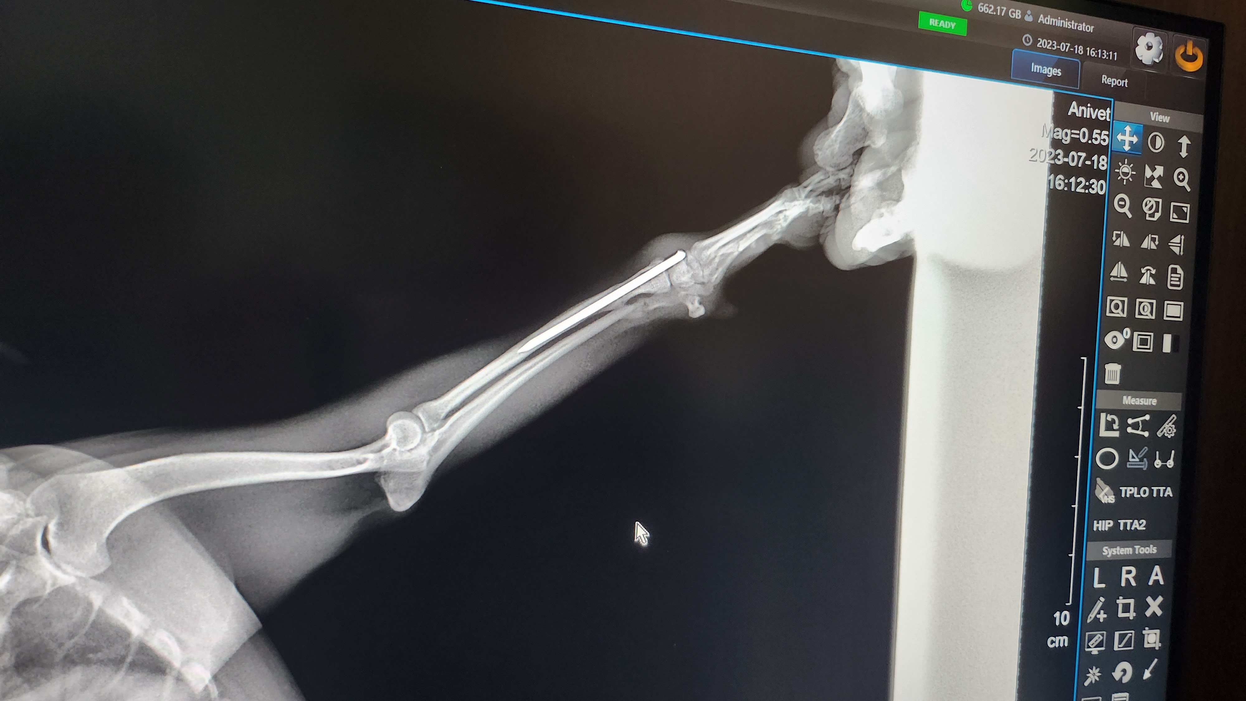 Veterinární klinika ANIVET - MVDr. Zbyněk Horák foto 3