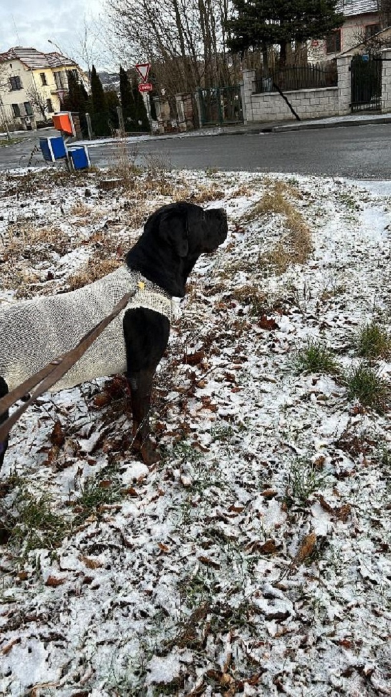 Veterinární klinika na Šumavské foto 4