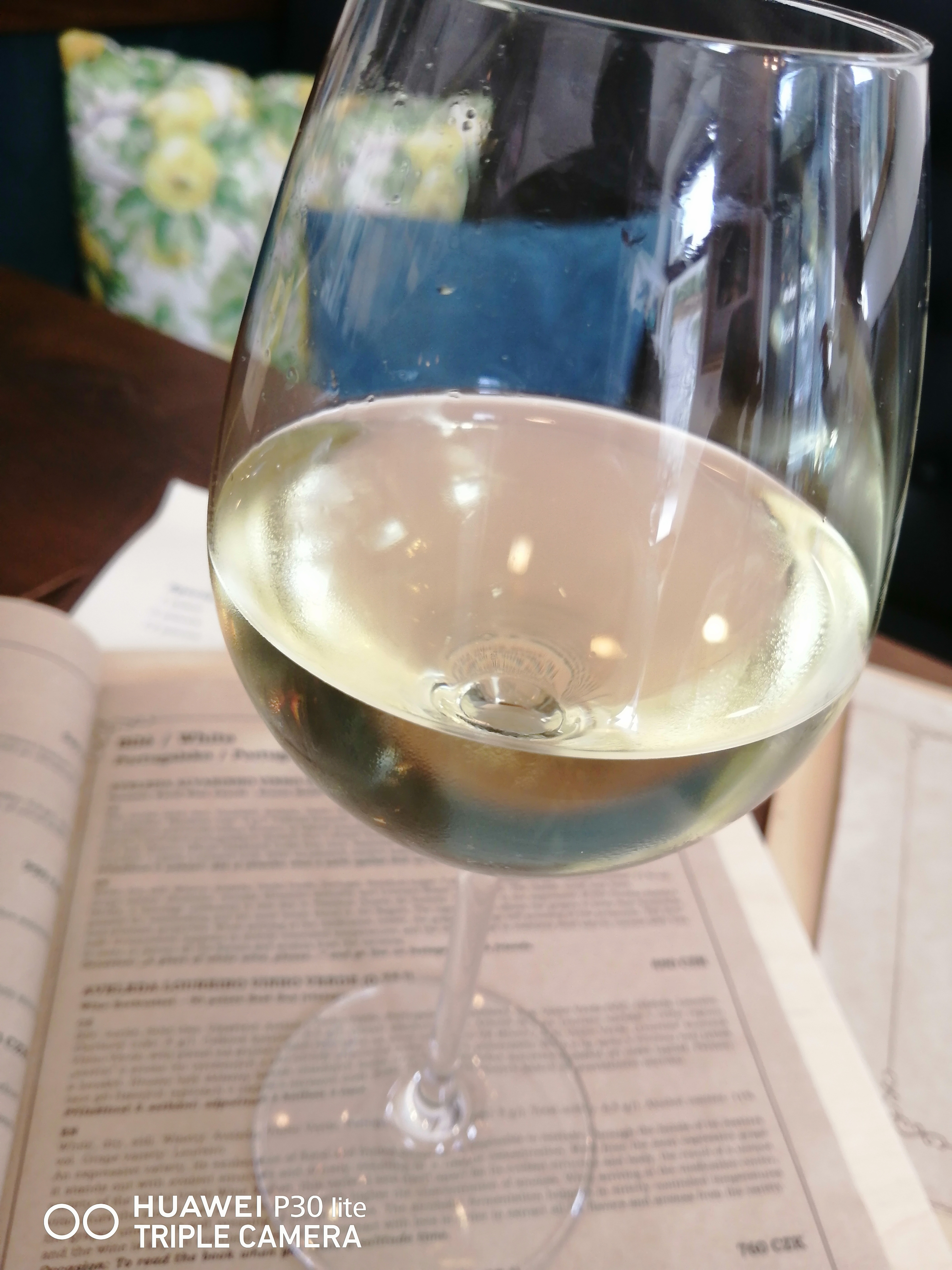 Oysterium Wine & Oyster Bar foto 4