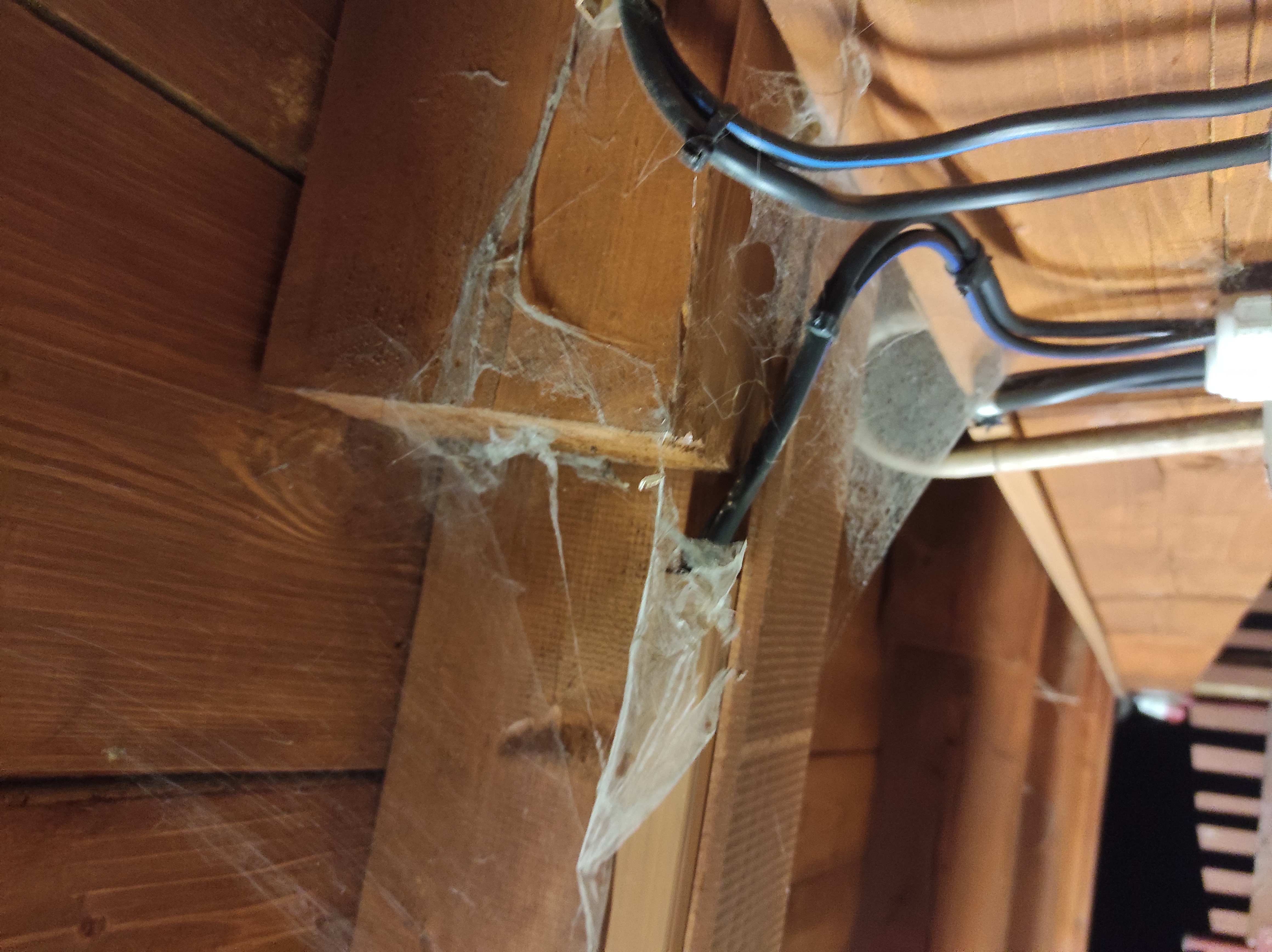 Chalupa u Michálků foto 4