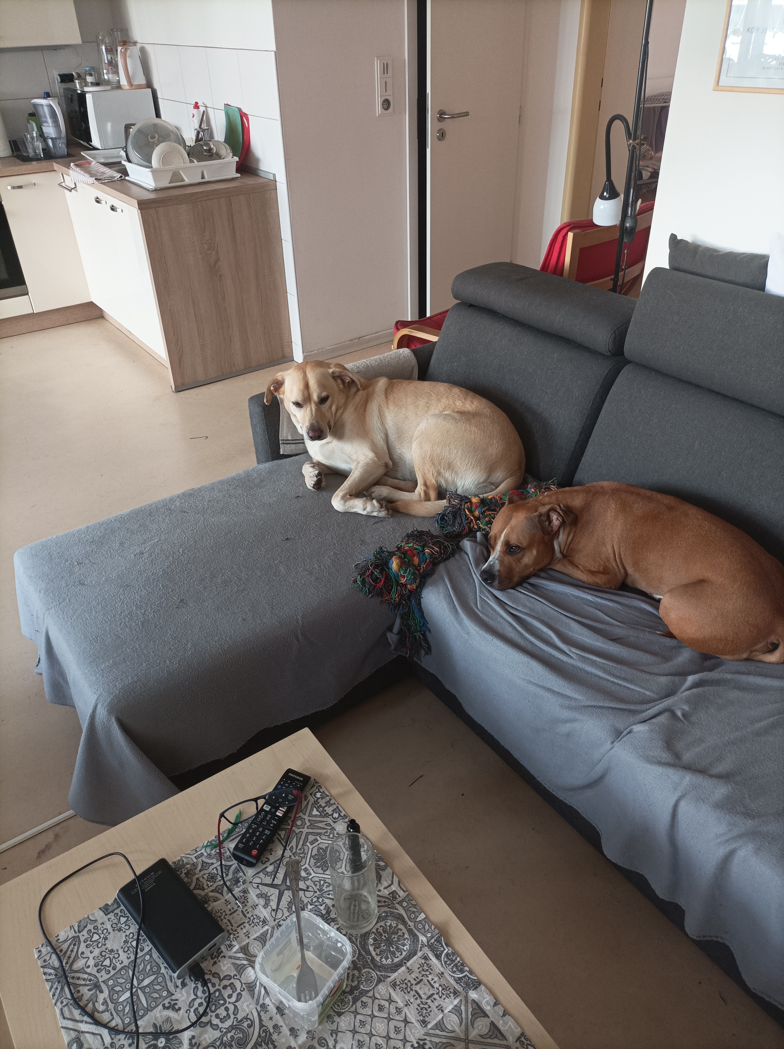 Veterinární klinika HANZA foto 3