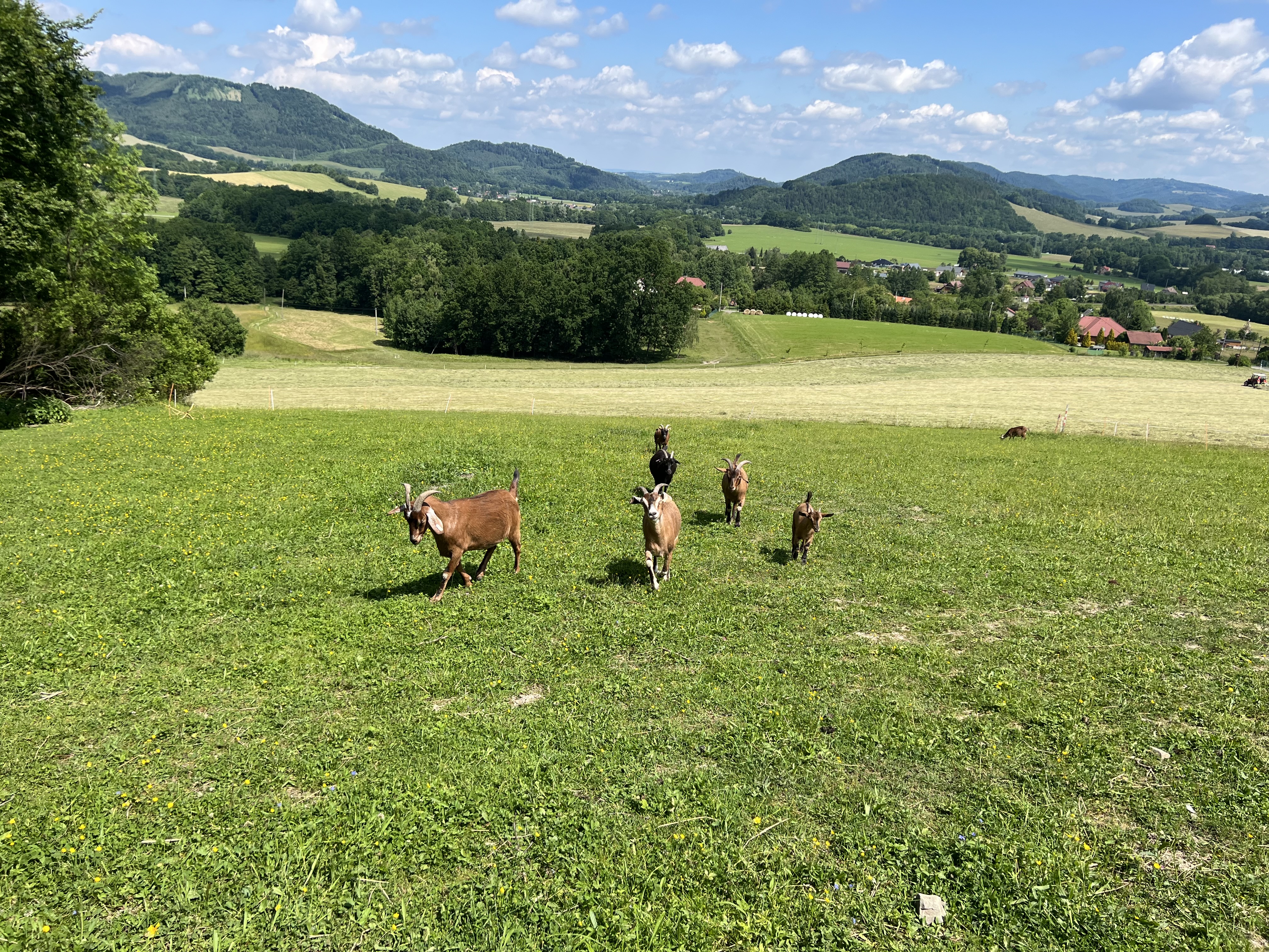 Horečky ranč foto 2