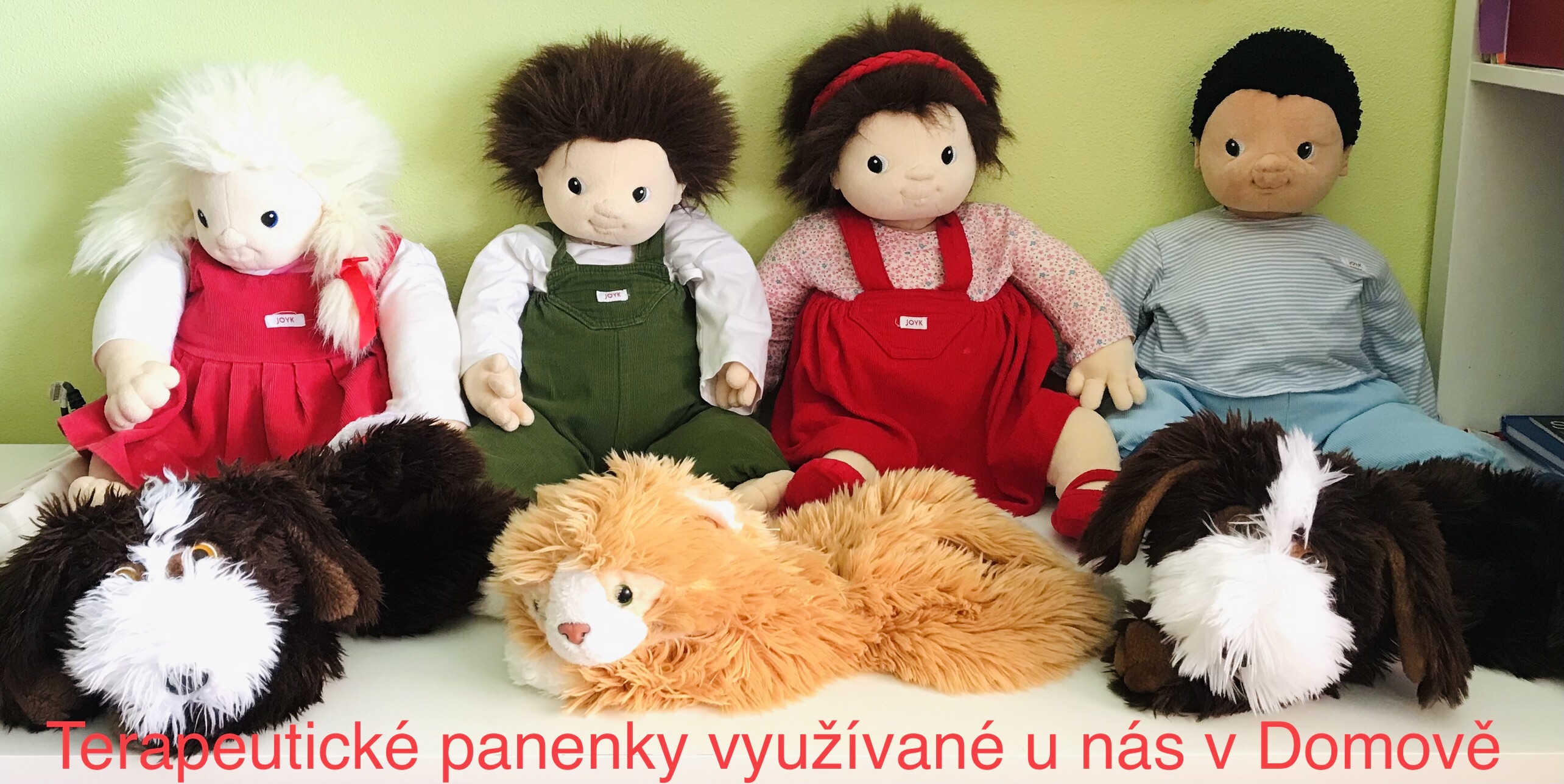 APOS BRNO foto 3