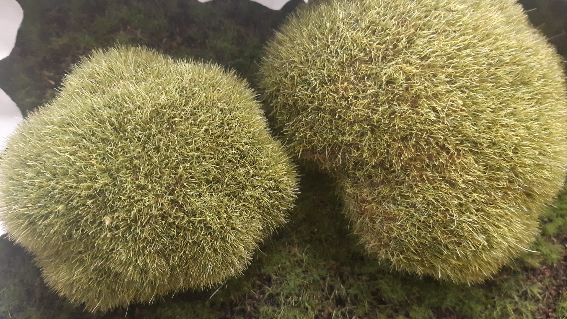 Daňový poradce ev. č. 4168 Ing. Romana Vítová foto 3