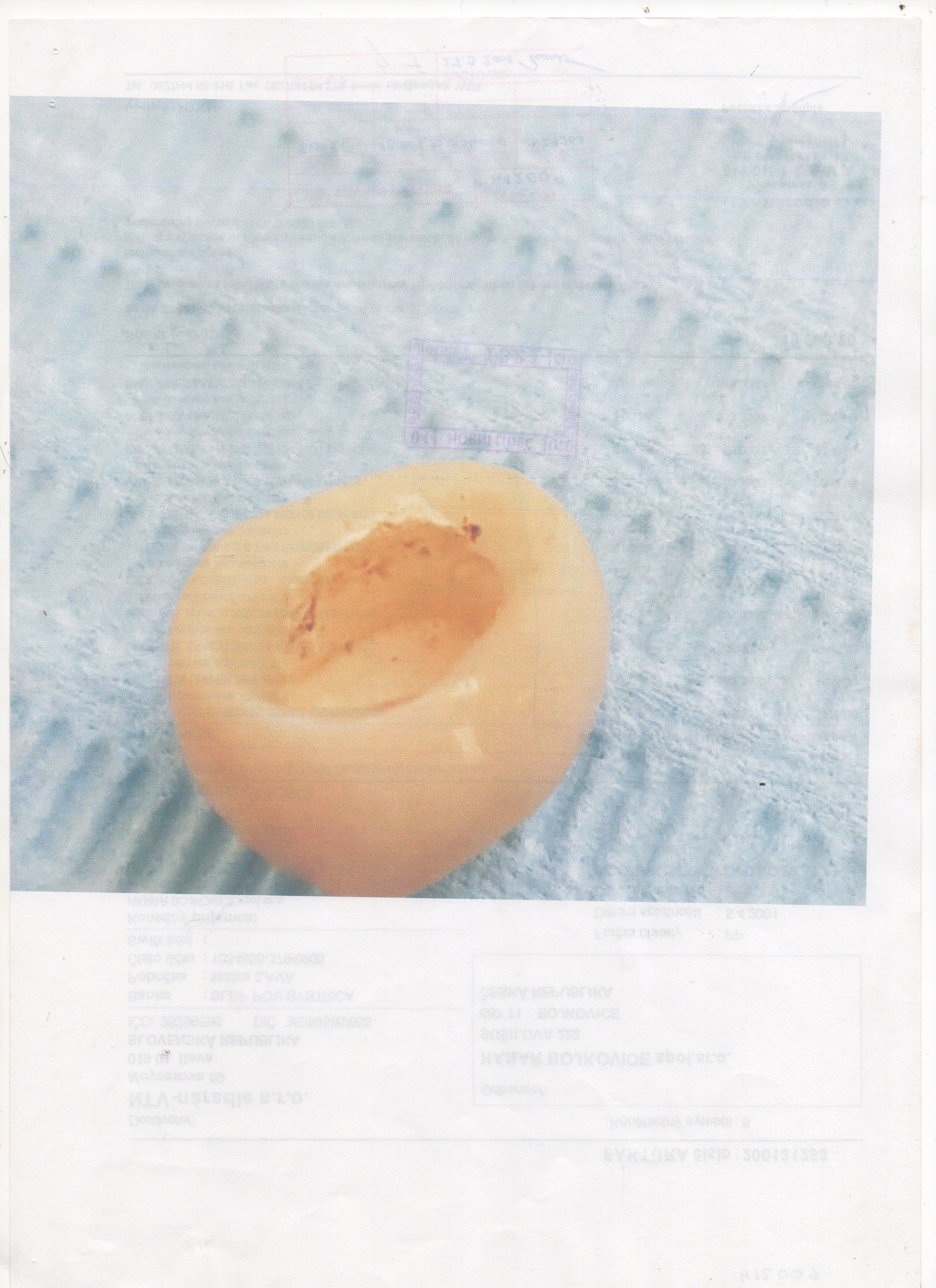 Sixdent, s.r.o. foto 2