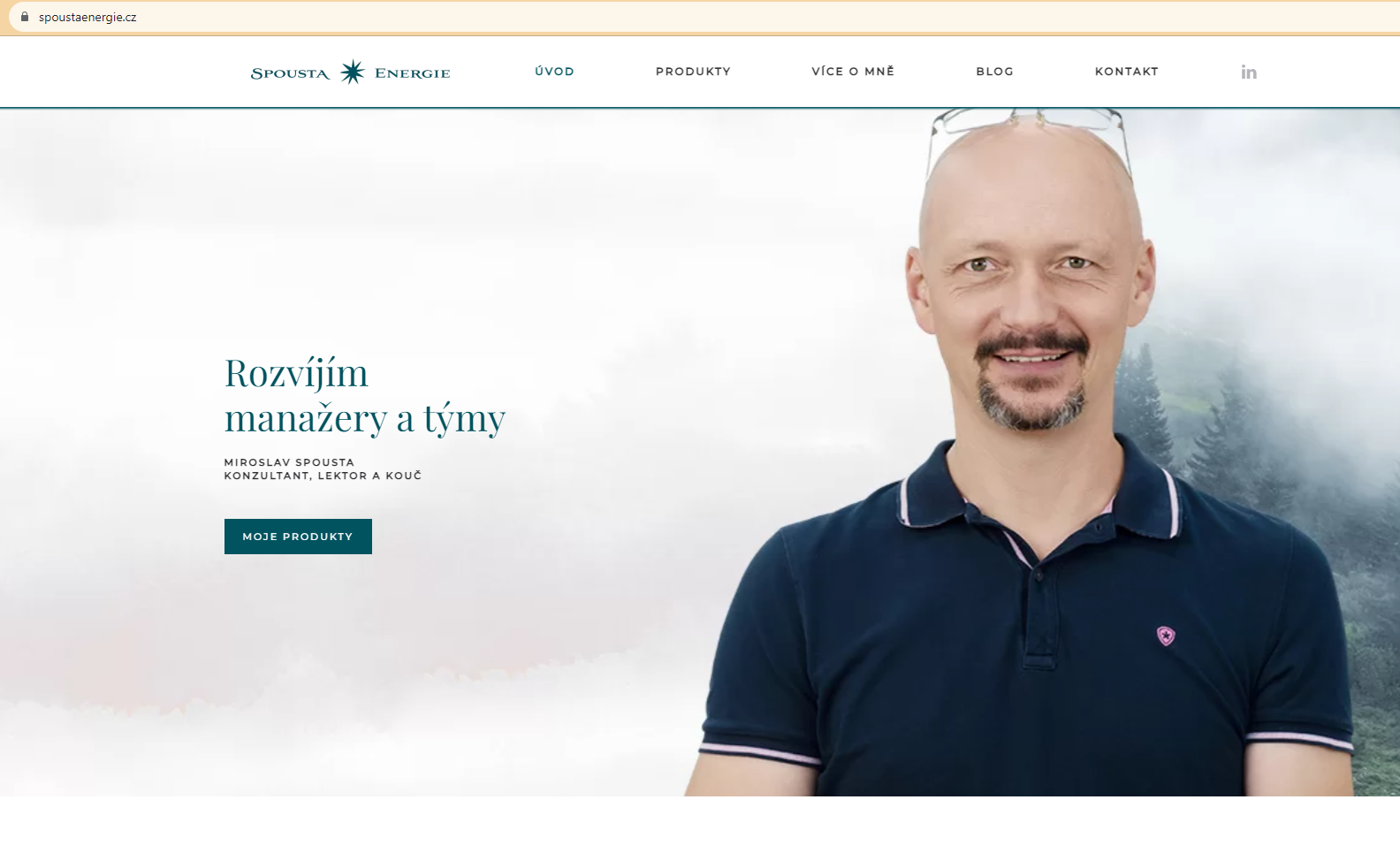 MějWeb - Tvorba webových stránek na míru foto 2