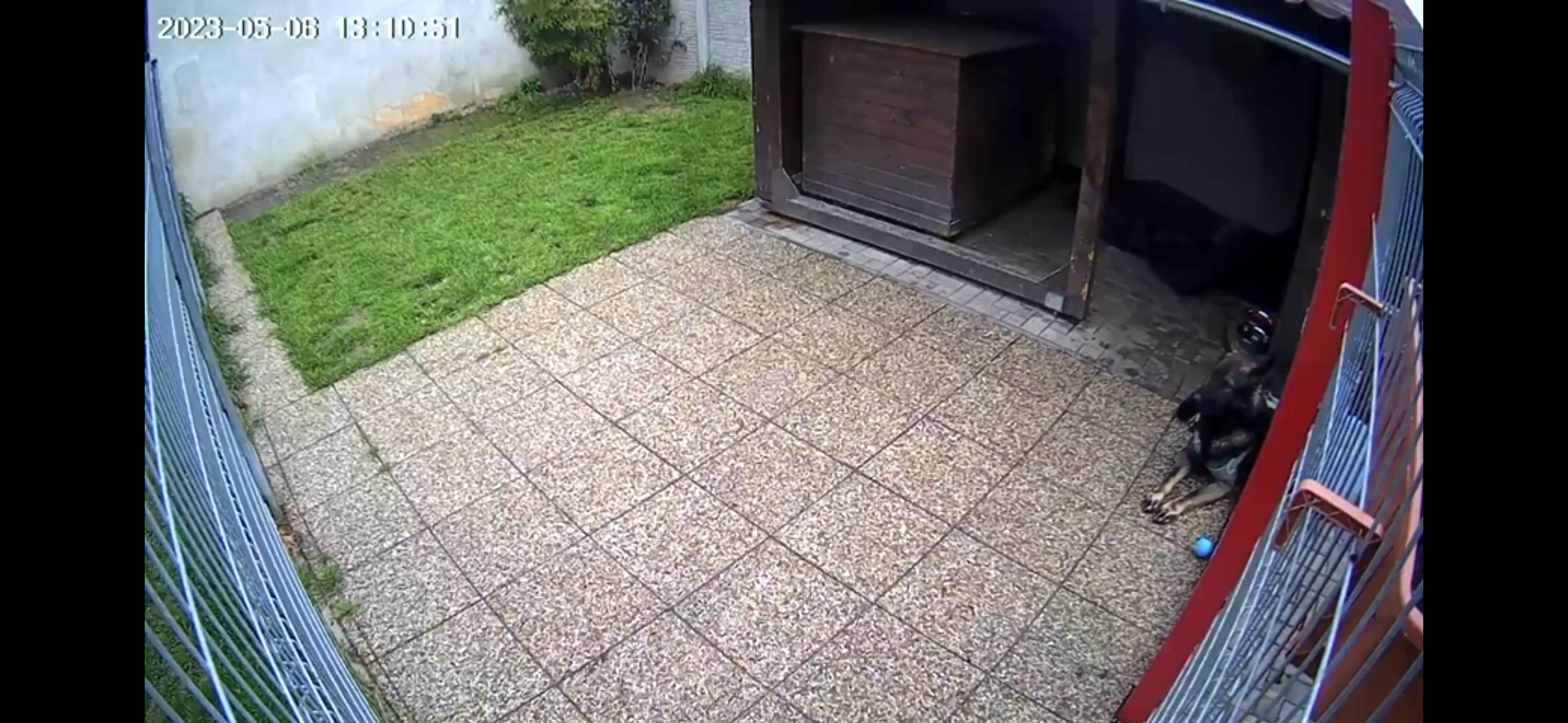 Chlupatá dovolená - Jan Kuča foto 6