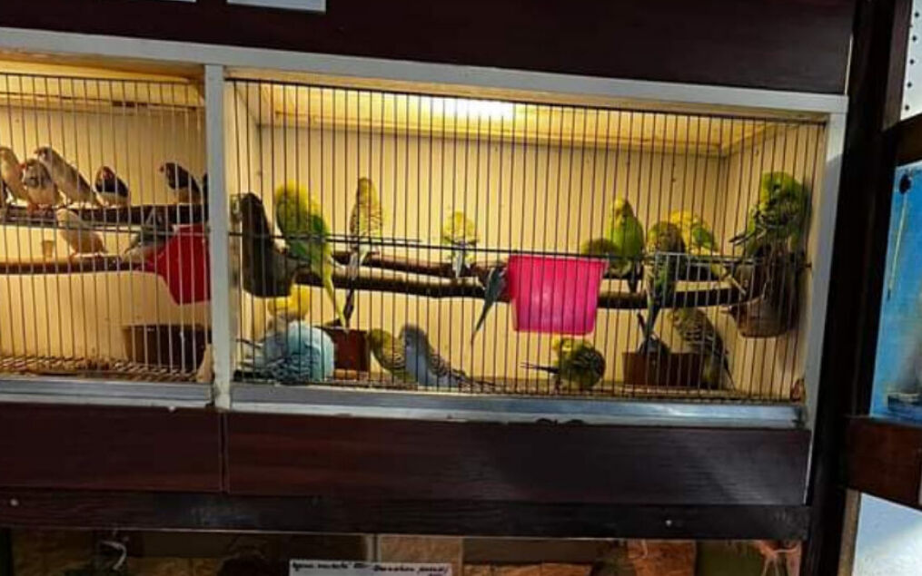 Akvatera Polcr s.r.o foto 2