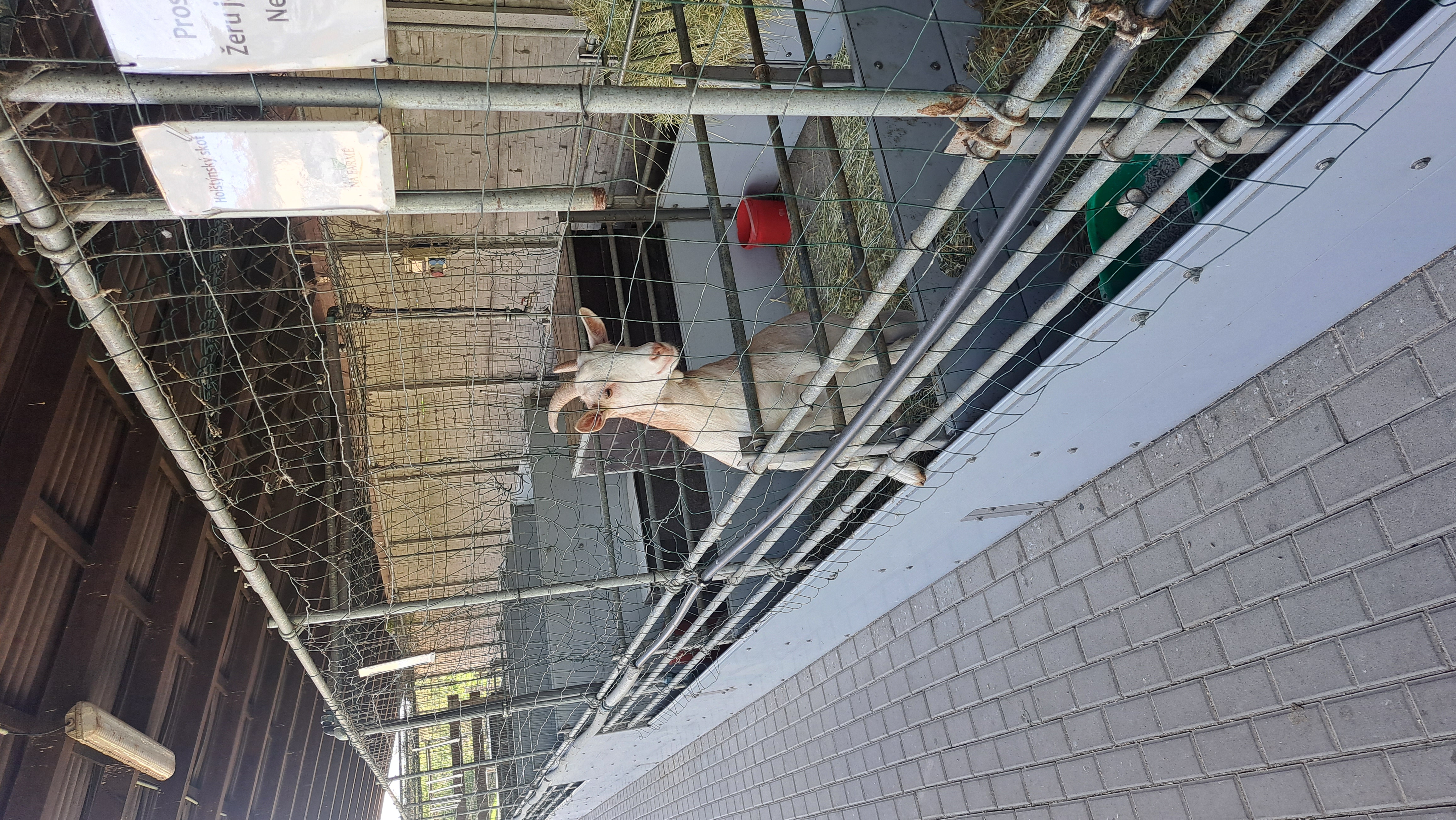 Hopík Aréna Choťovice foto 5