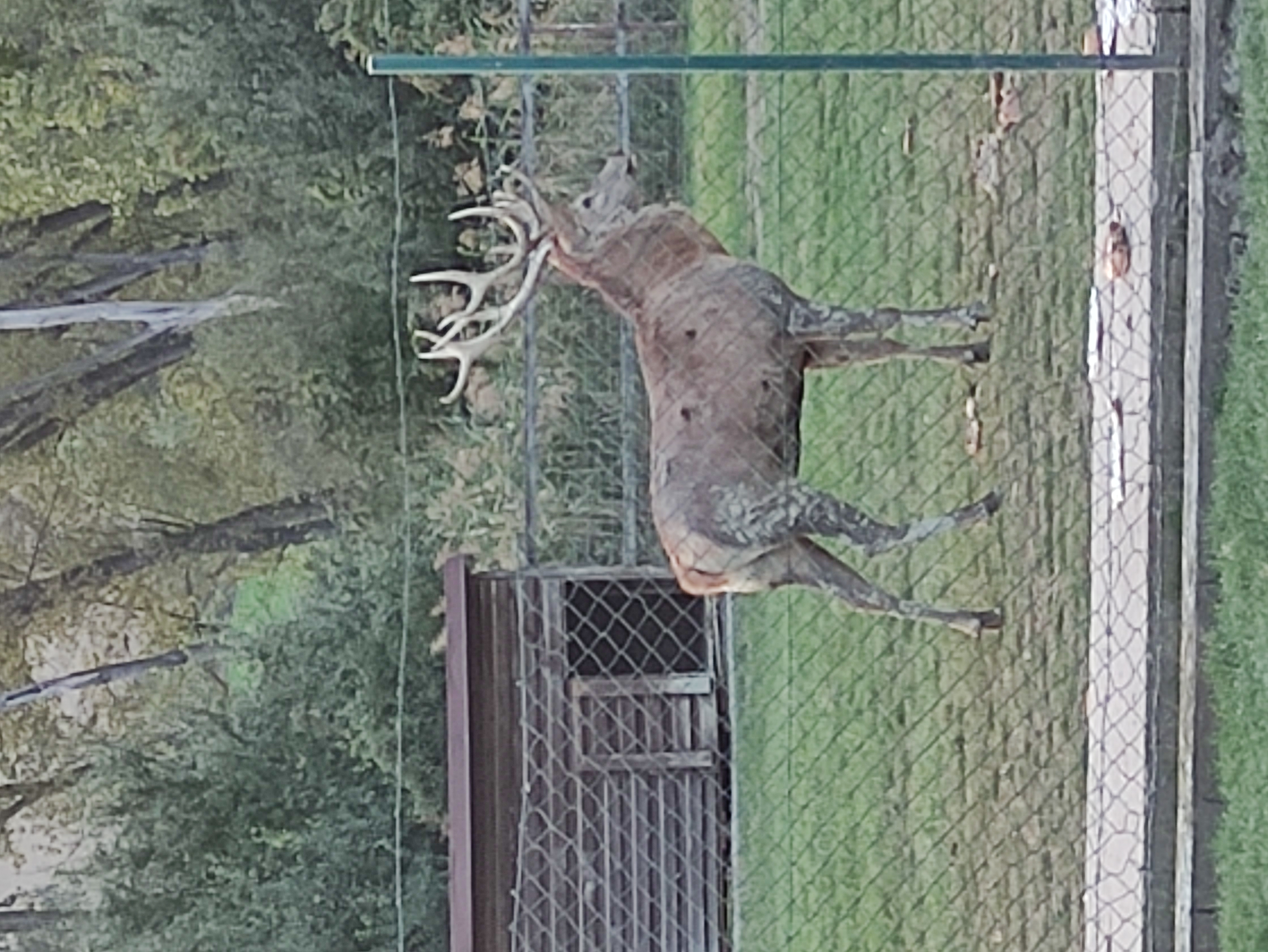 Apartmány na farmě foto 2