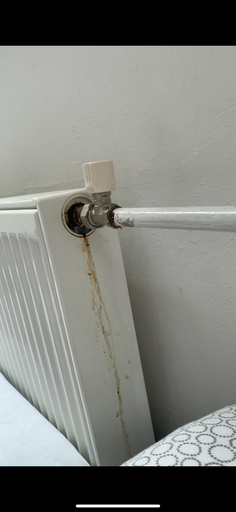 Rekreační zařízení Radost foto 6