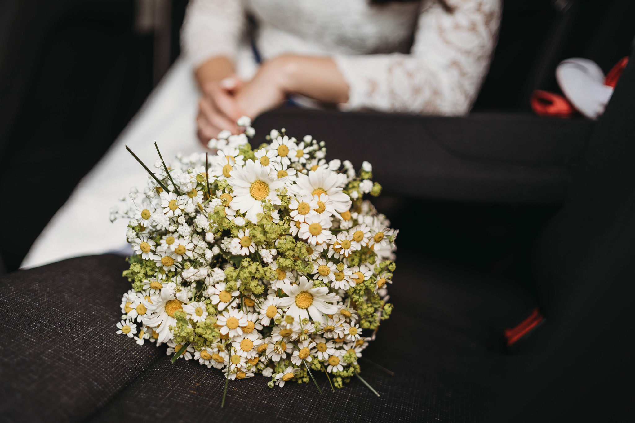 Monika Frajerová - Banksia foto 3