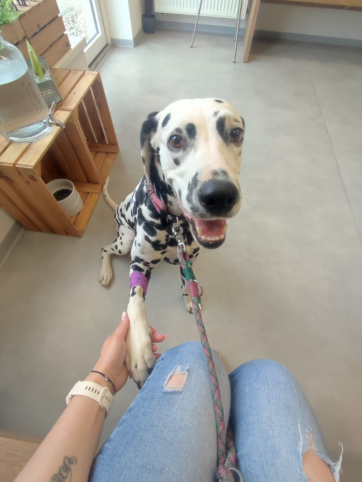 Veterinární ordinace VET-S foto 5