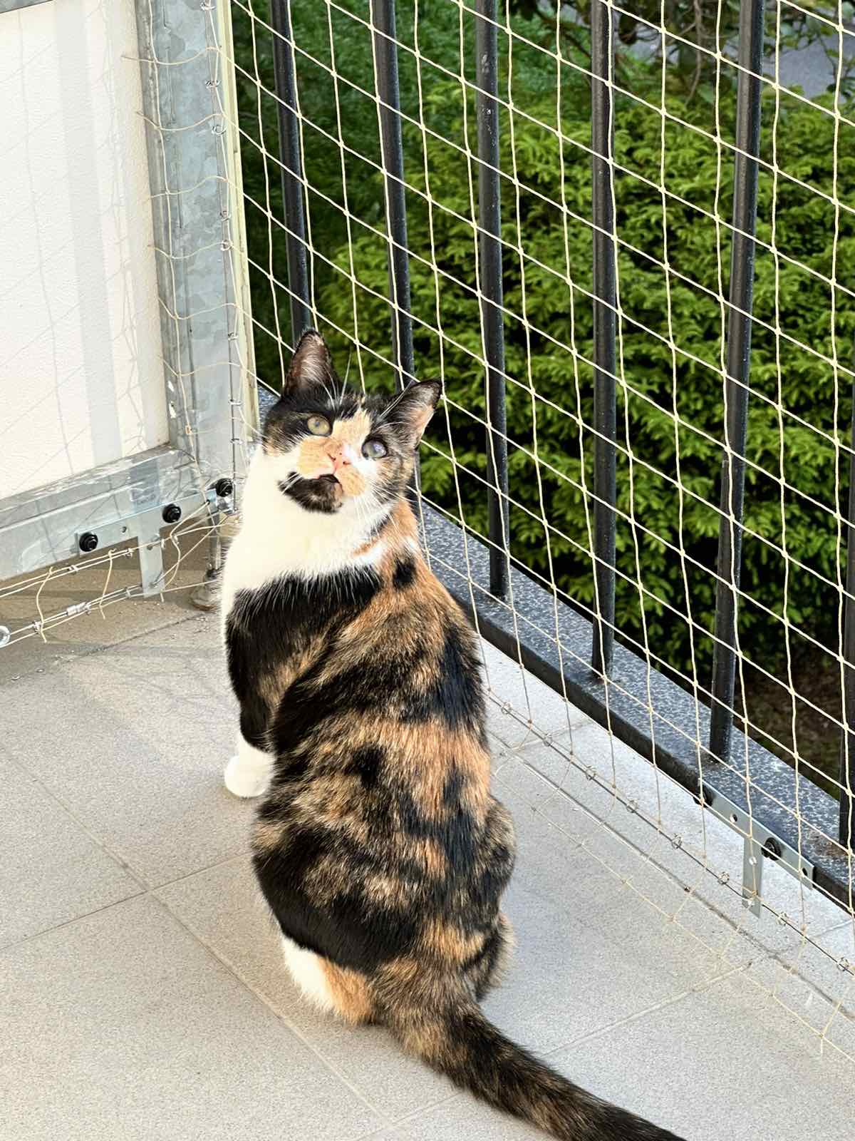 Lezecký servis s.r.o. foto 5