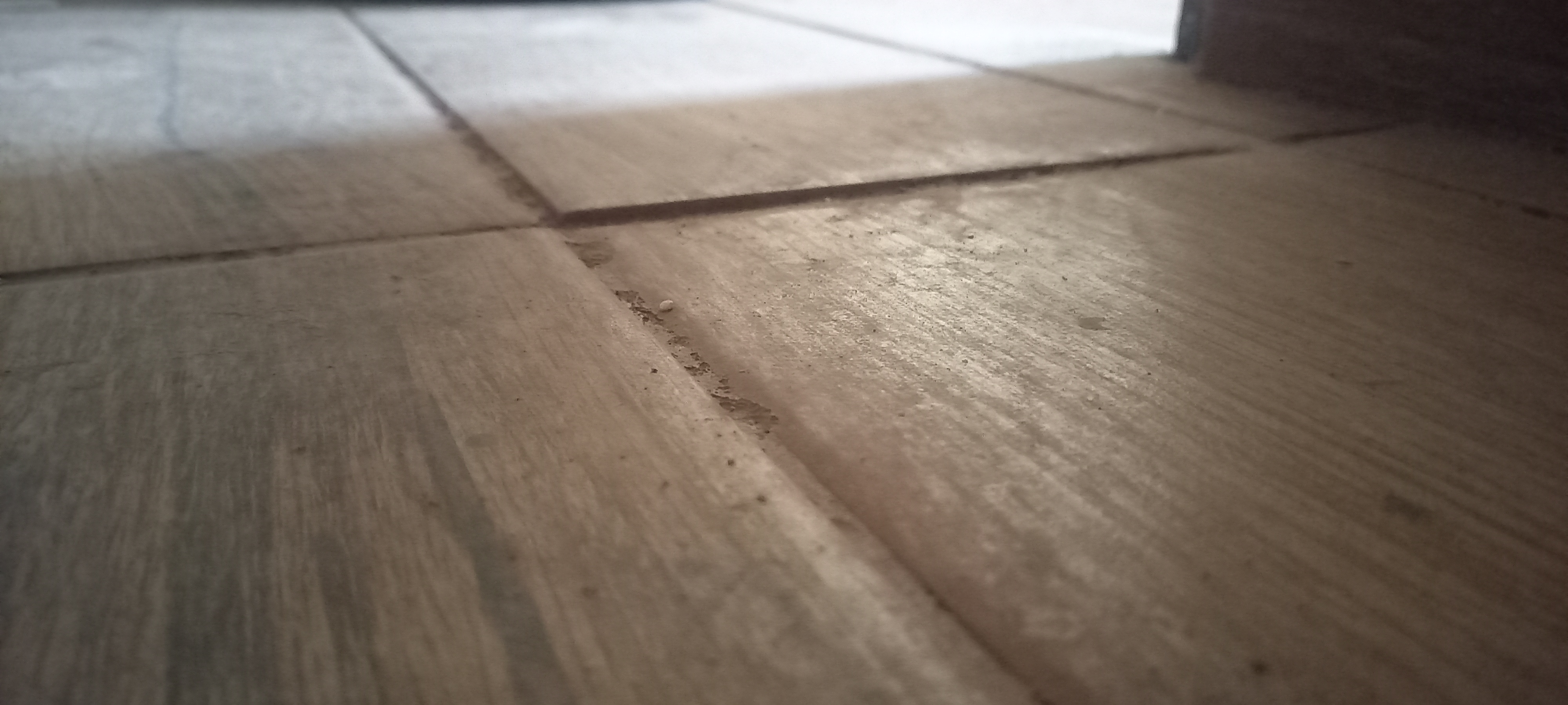 Martin Zábranský - hodinový manžel foto 6