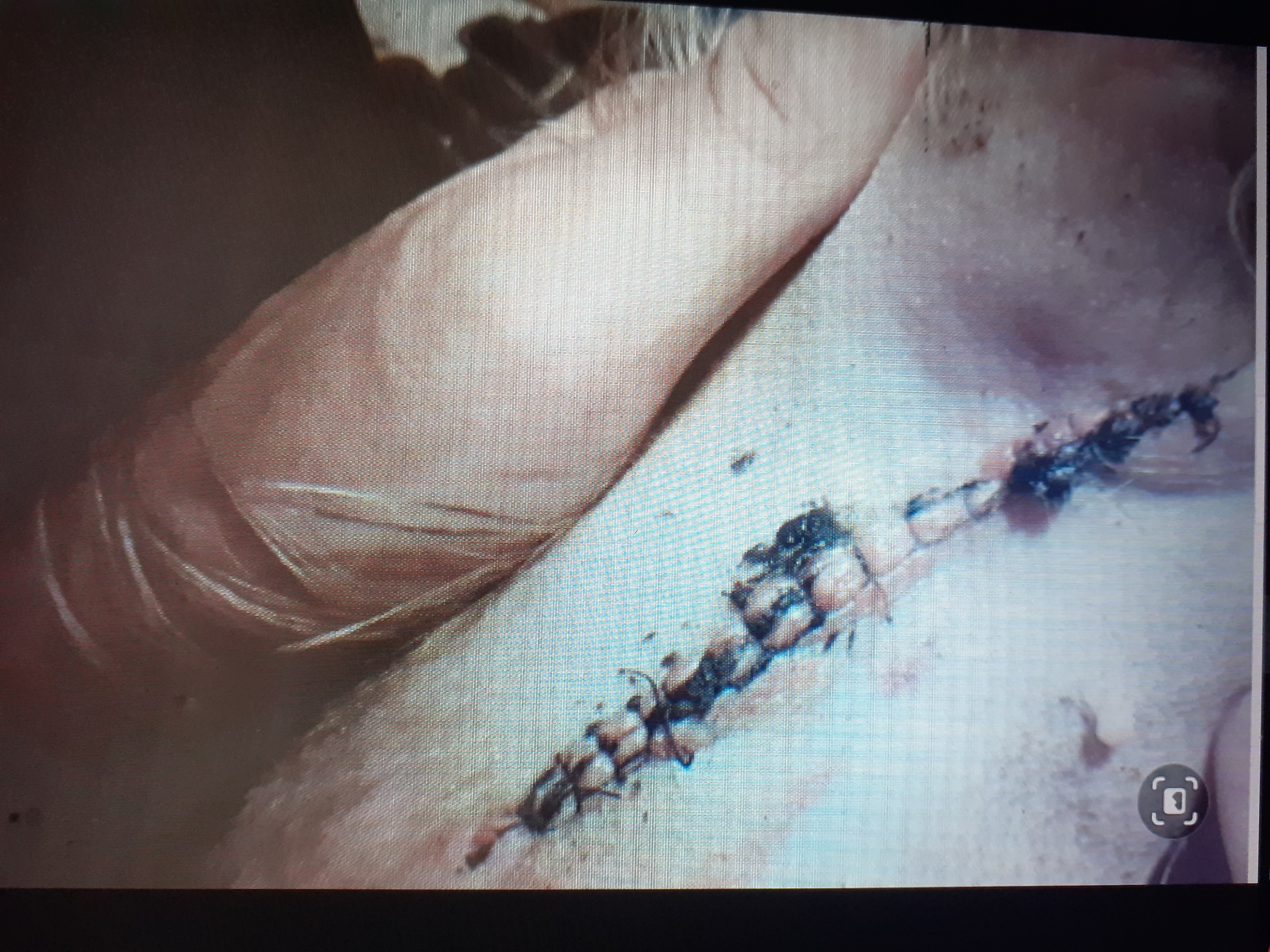 Veterinární ordinace TOSA foto 2