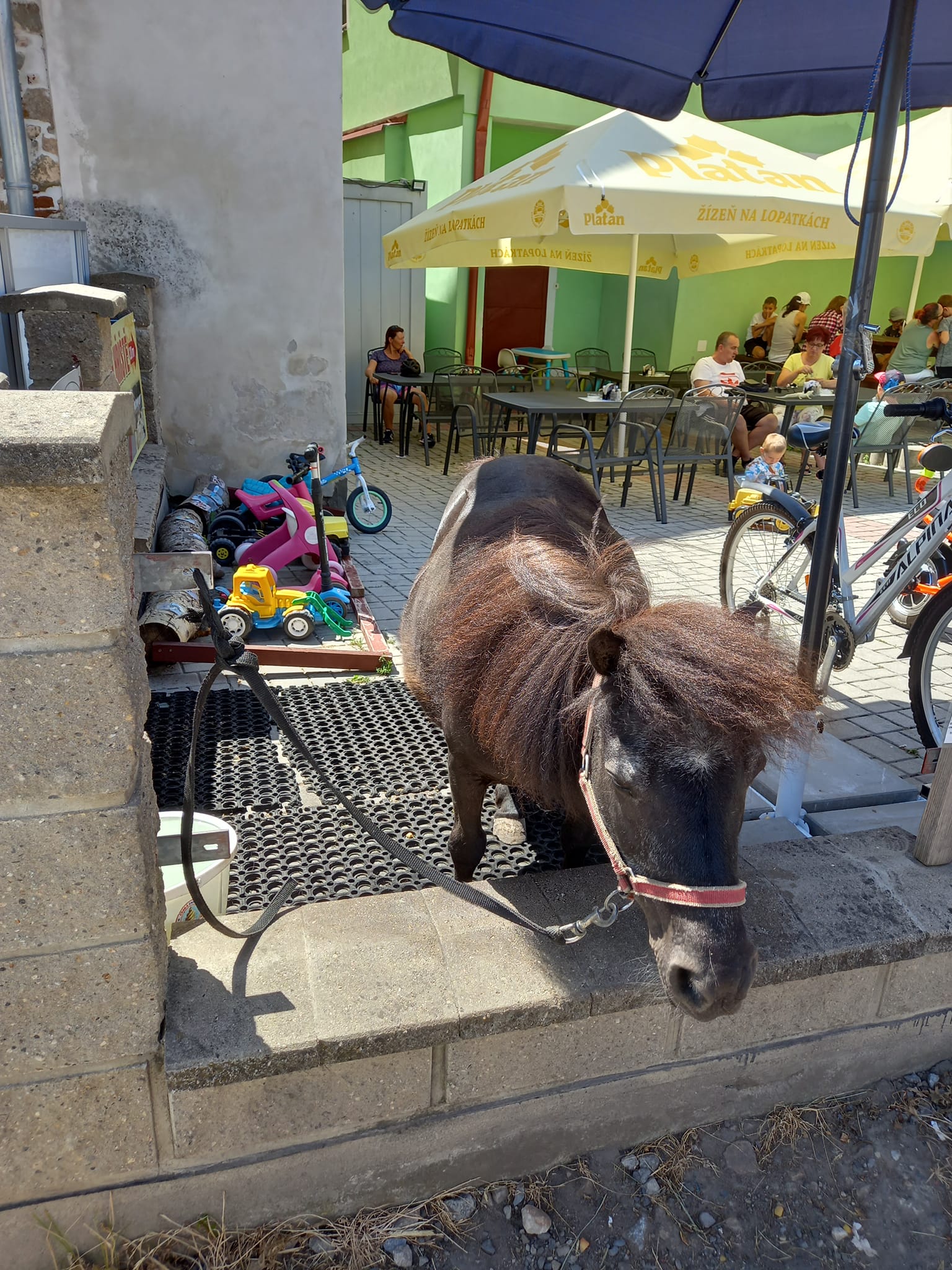 Zmrzlina a Bistro u Fandy foto 3
