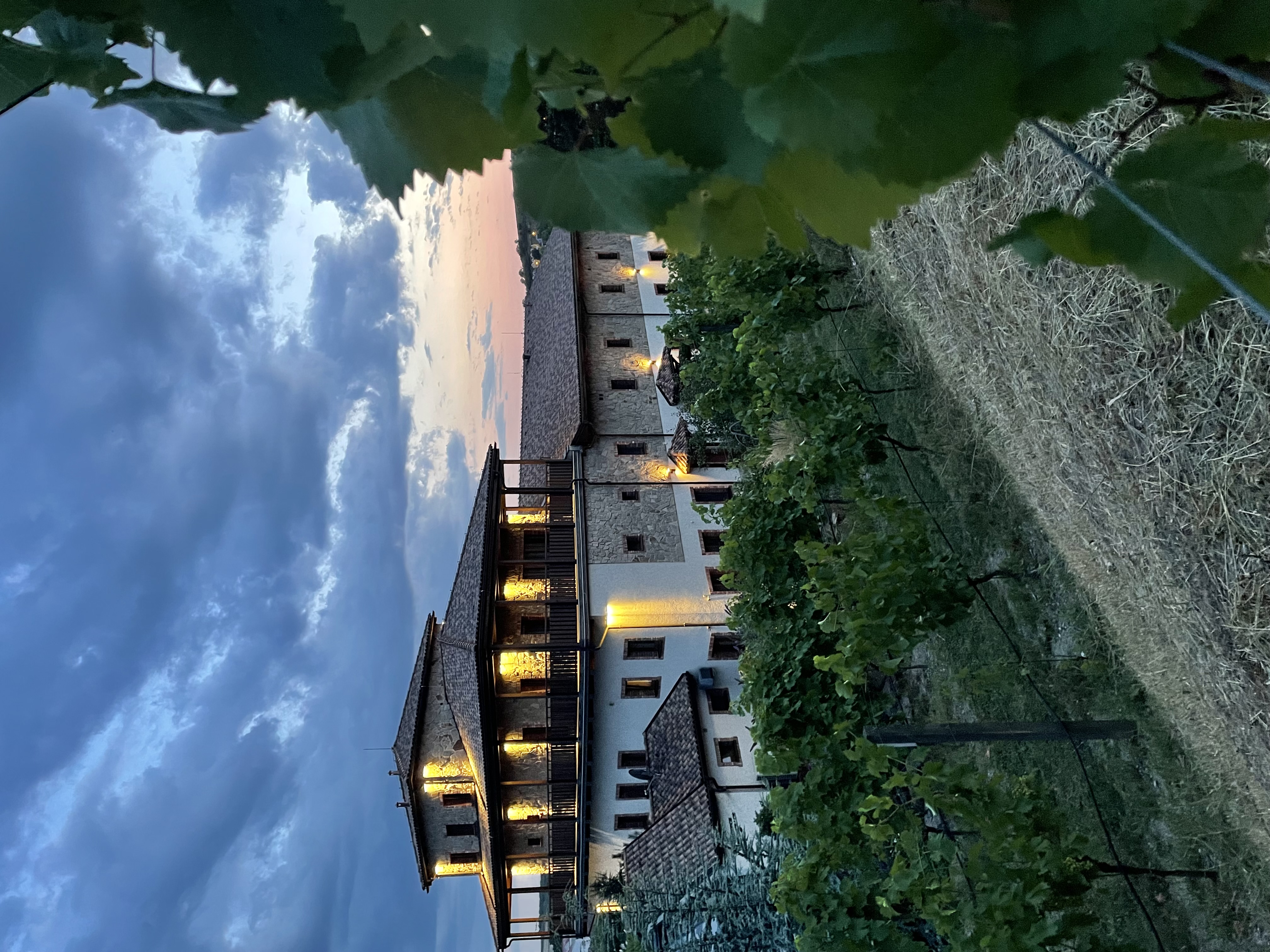 Restaurace André foto 3