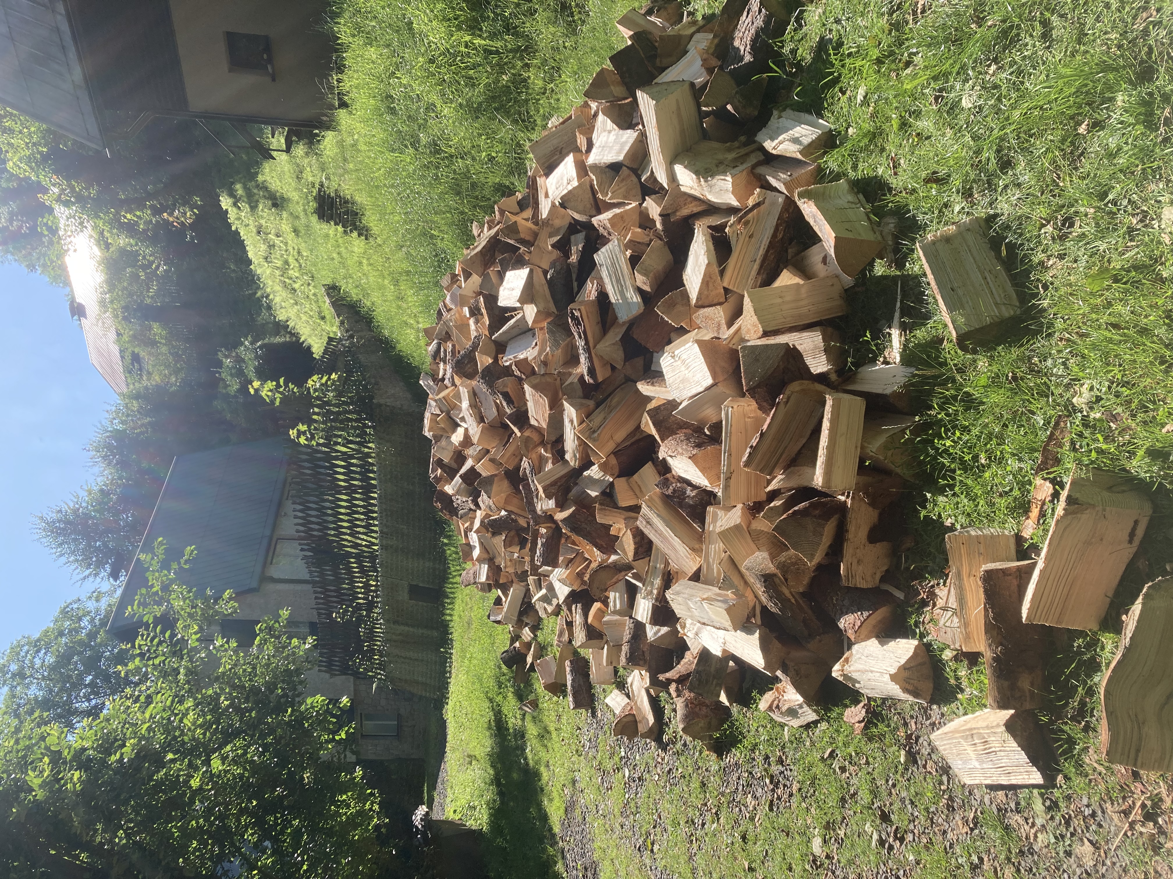 DŘEVO JEDE - Petr Palmi foto 1