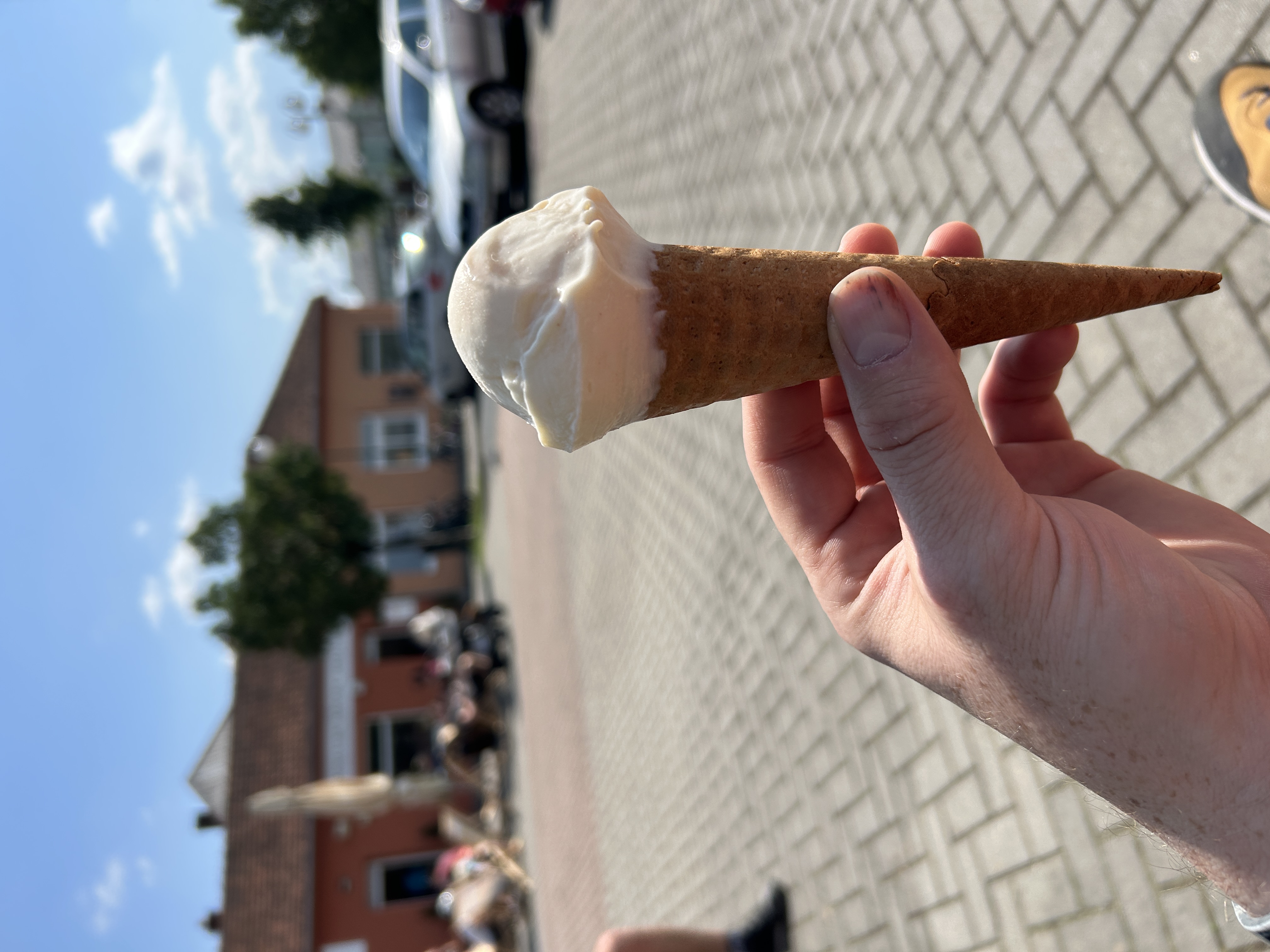 TOMIVO gelato foto 6