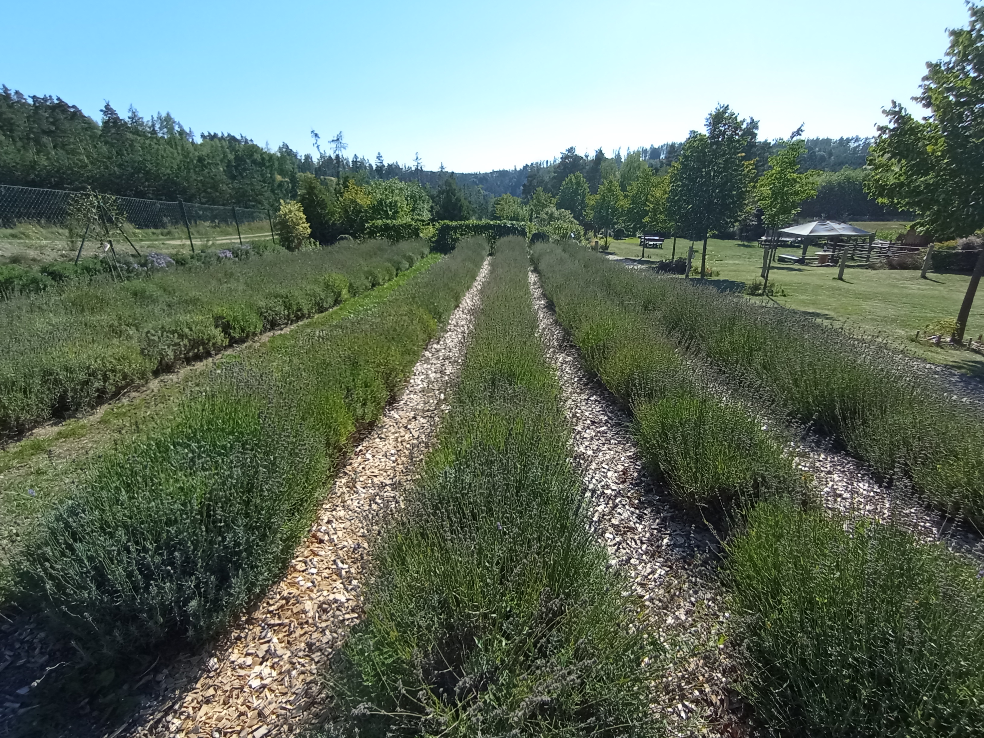 Zahrady Rozmarínek foto 5