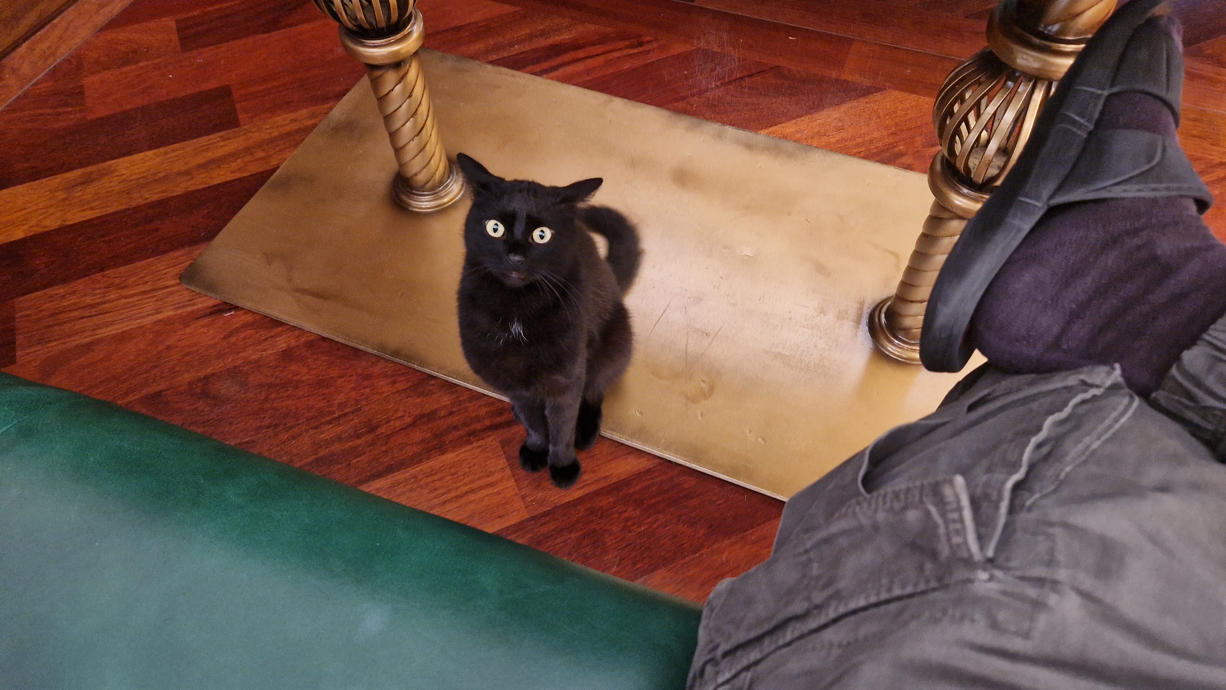 Stylová restaurace Darovanský dvůr foto 2