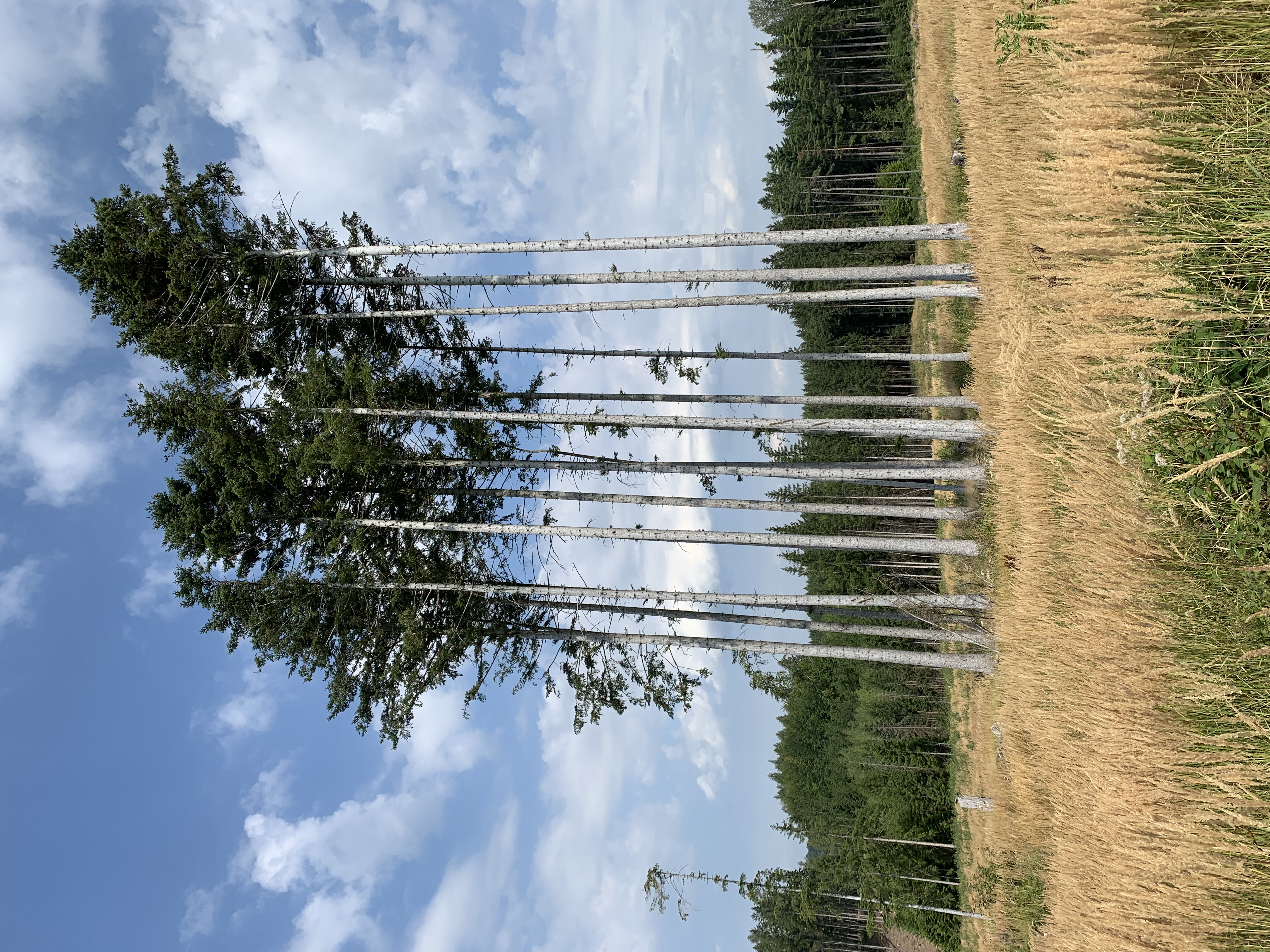 Resort Svatá Kateřina - Nabíjecí stanice foto 4