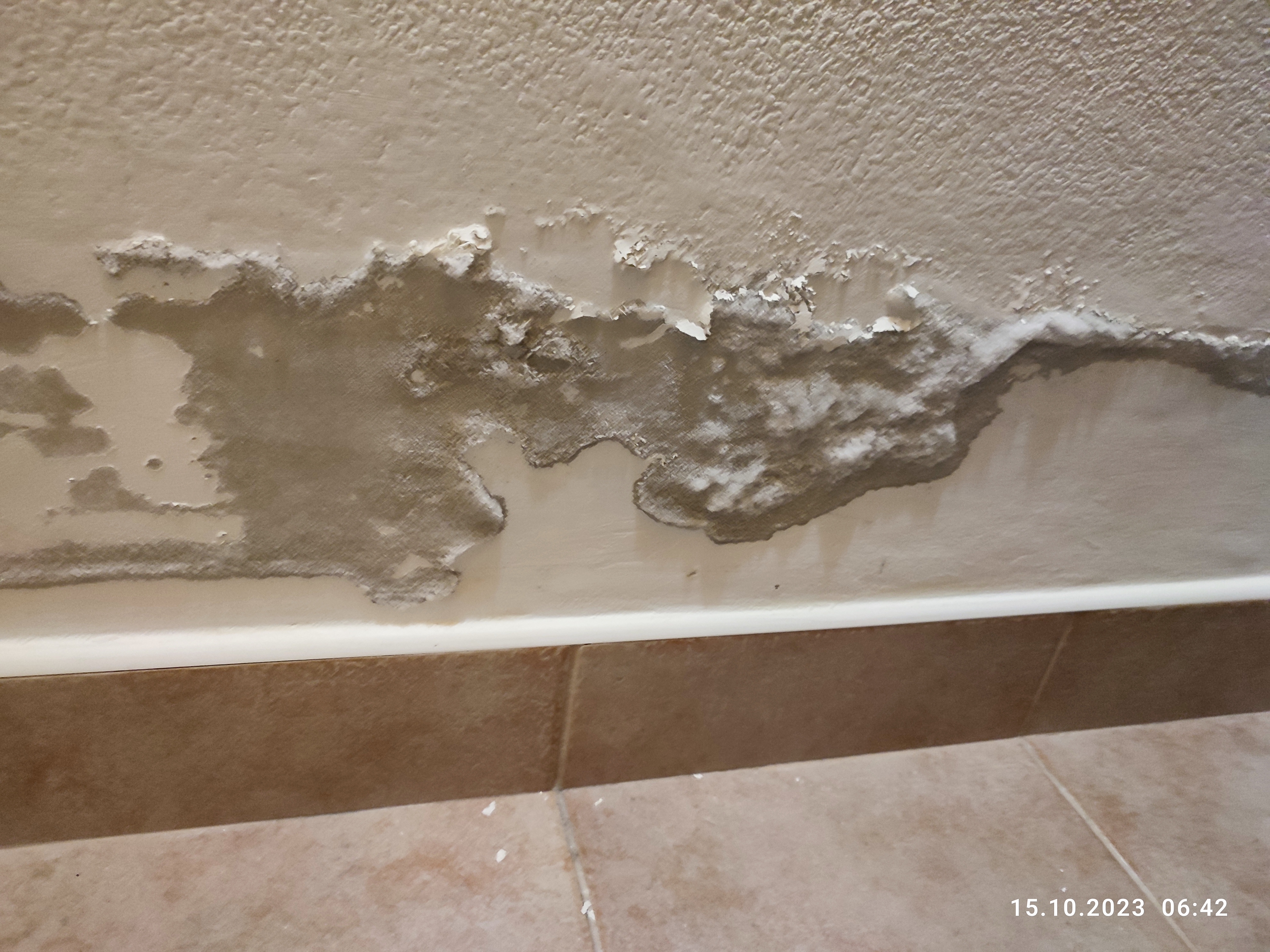 Pension Karst foto 4