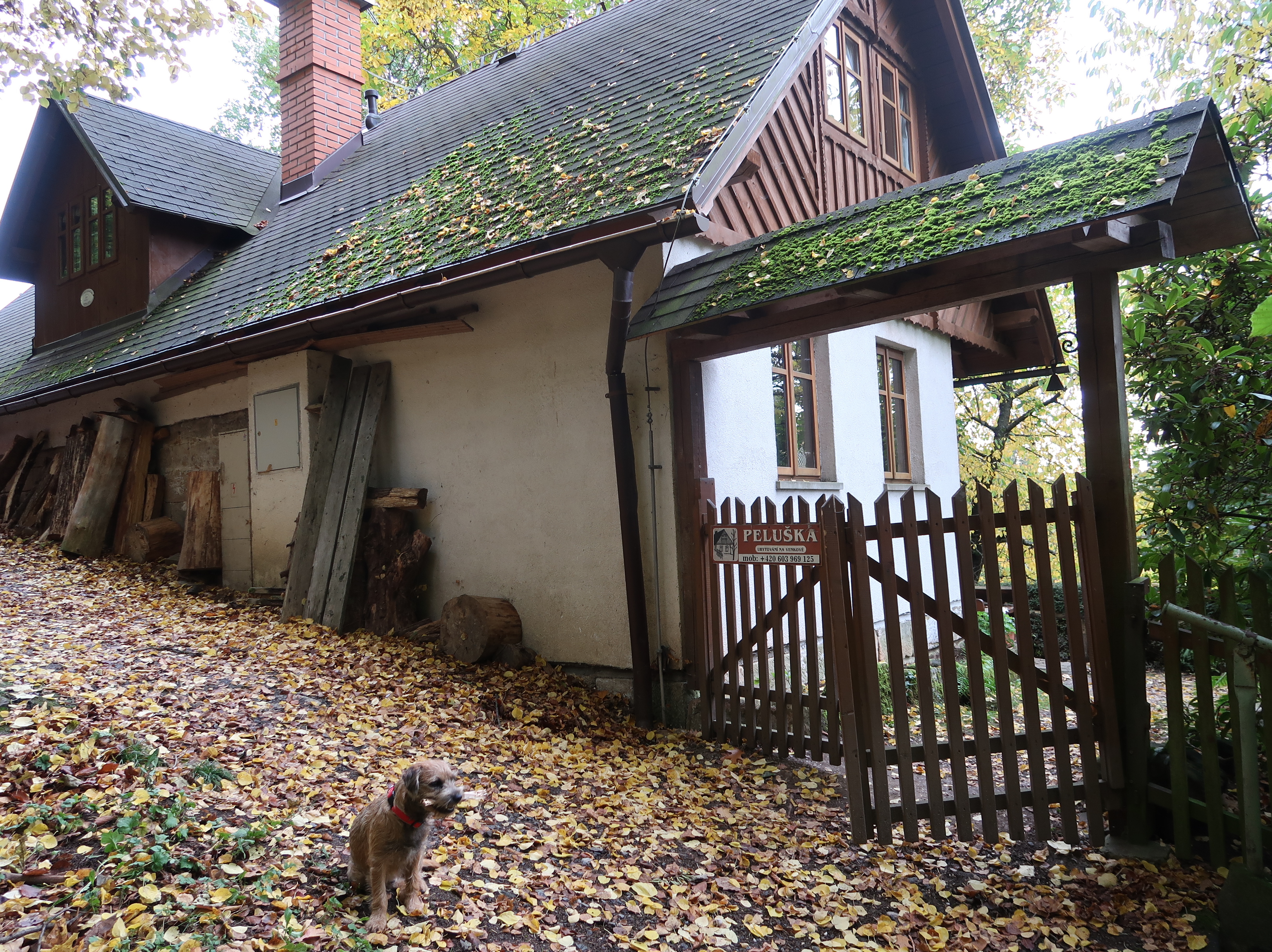 Ubytování na Pelušce foto 6