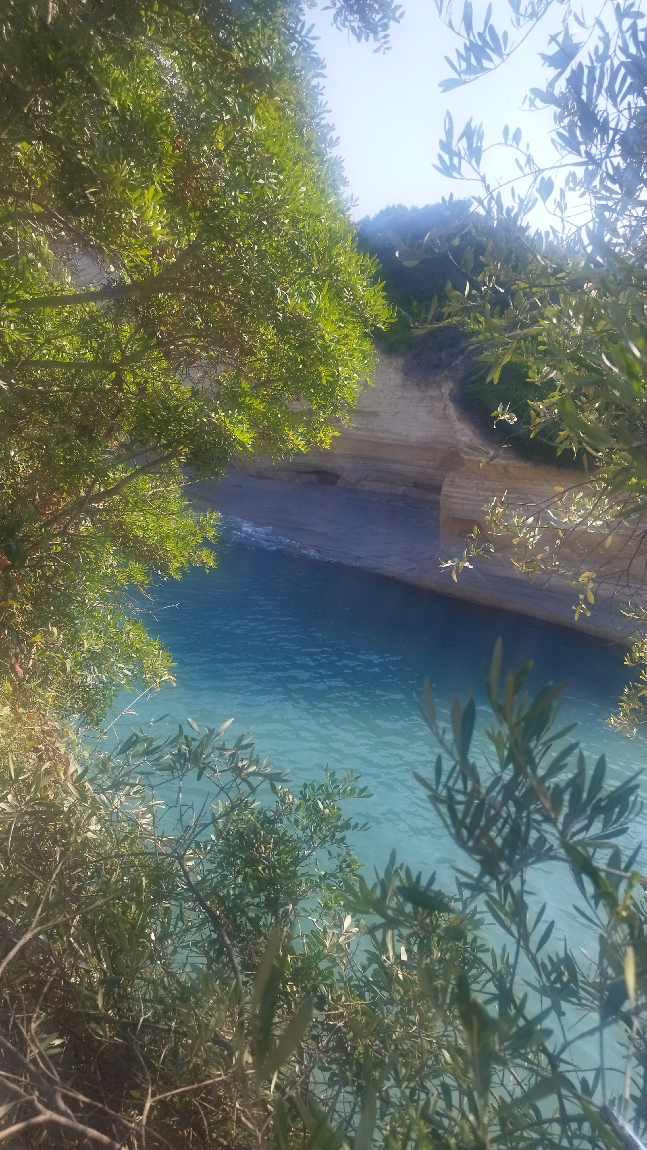 Amico travel - cestovní kancelář foto 5