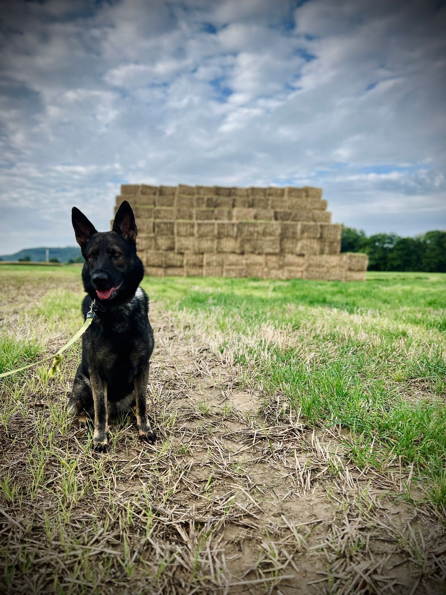 Chlupatá dovolená - Jan Kuča foto 5