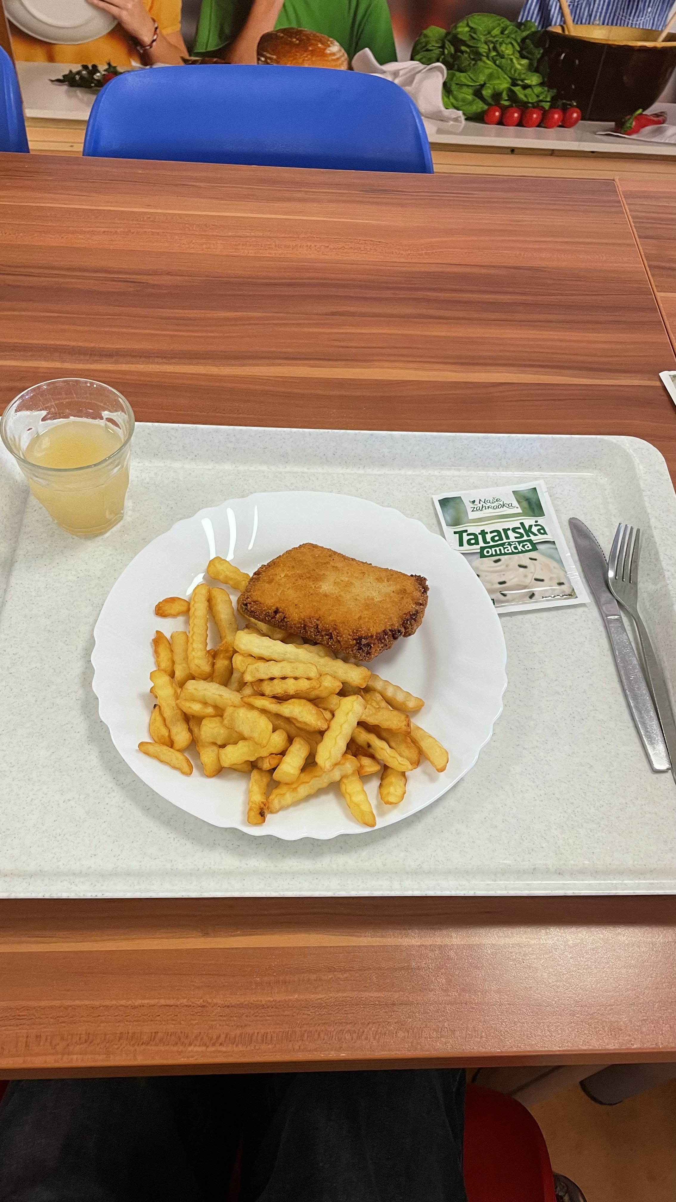 Školní jídelna ZŠ Dobřany foto 2