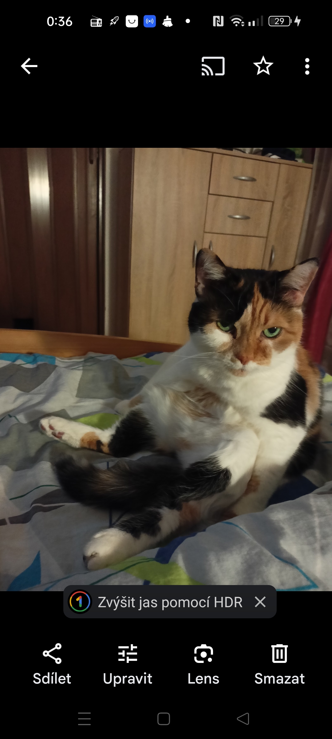 Veterinární klinika Chomutov, s.r.o. foto 4