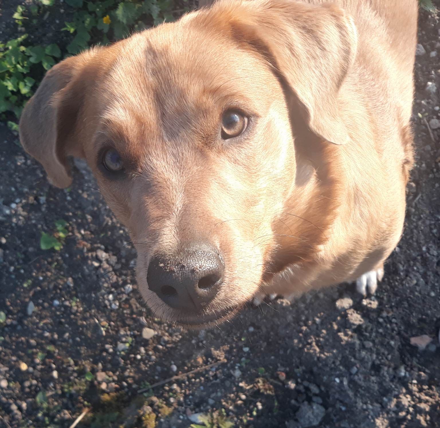 Obchod pro Vaše zvíře foto 6