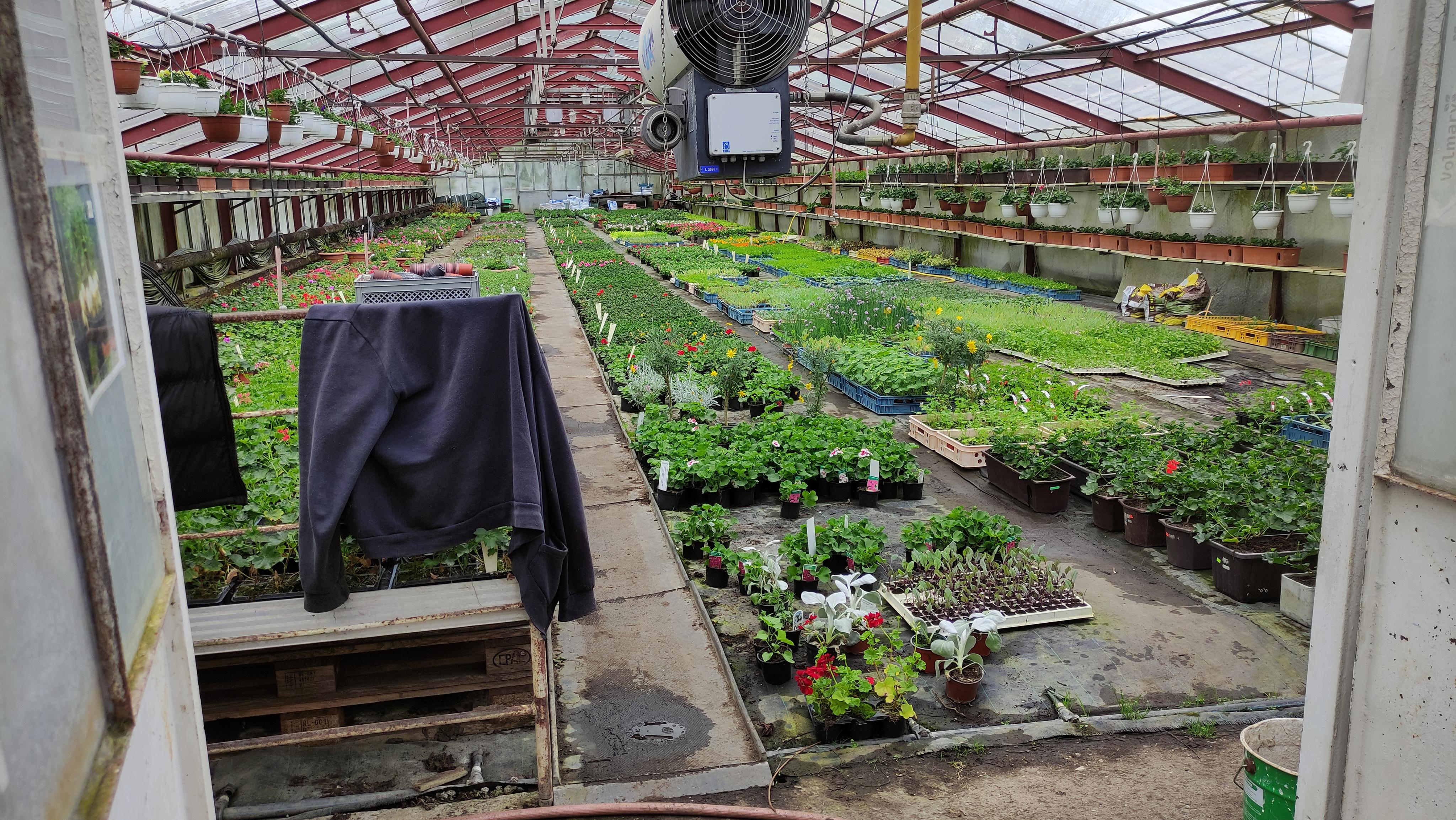 Zahradnictví u Křivonosků foto 5