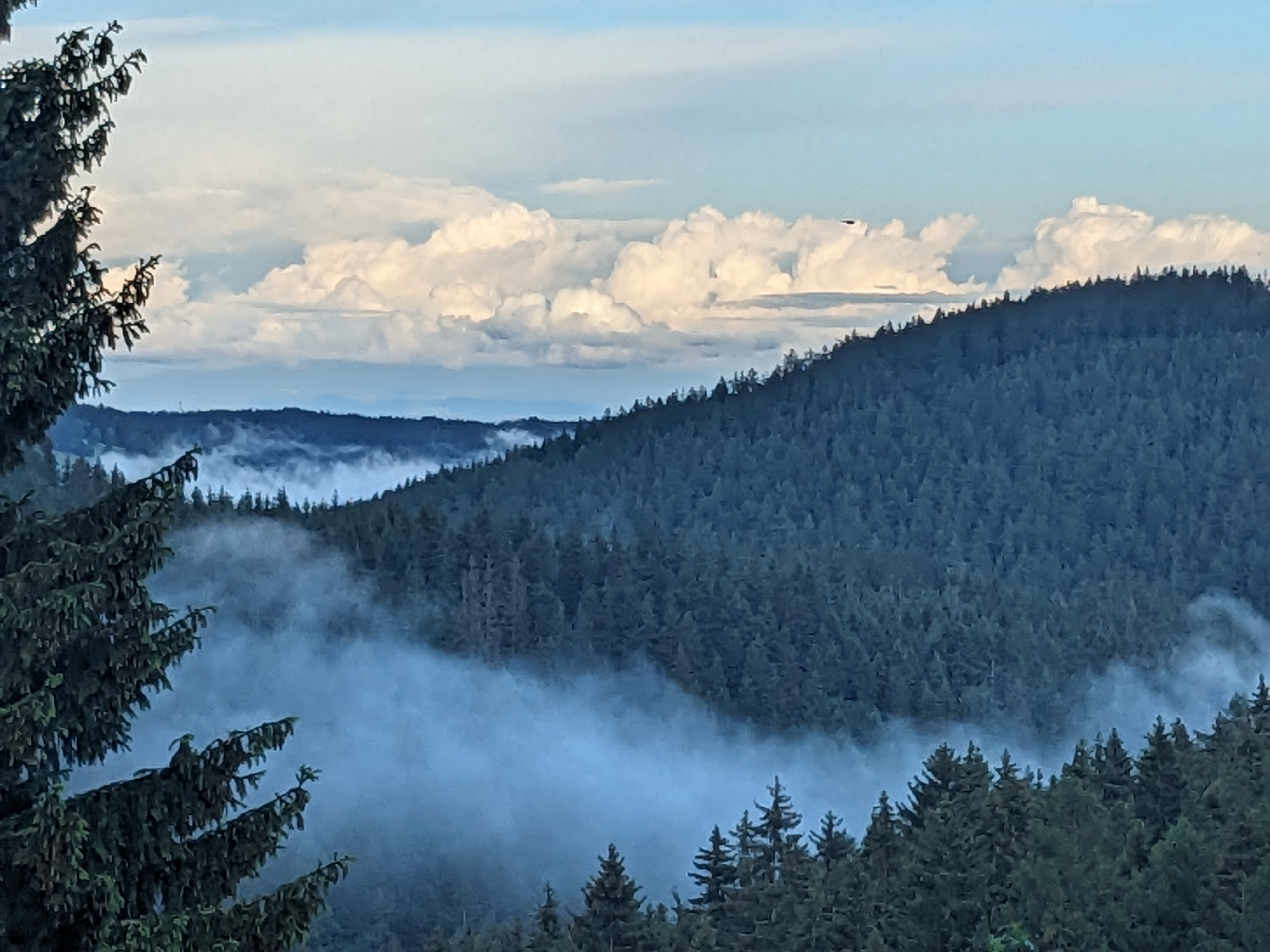 Pension Stará Škola foto 5