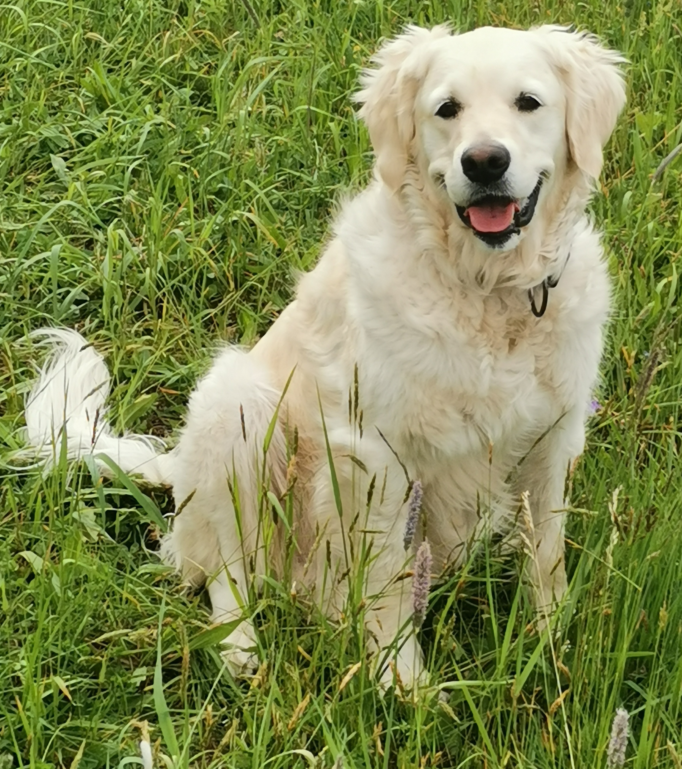 MVDr. Markéta Valešová - Veterinární ordinace a výjezdová služba foto 2