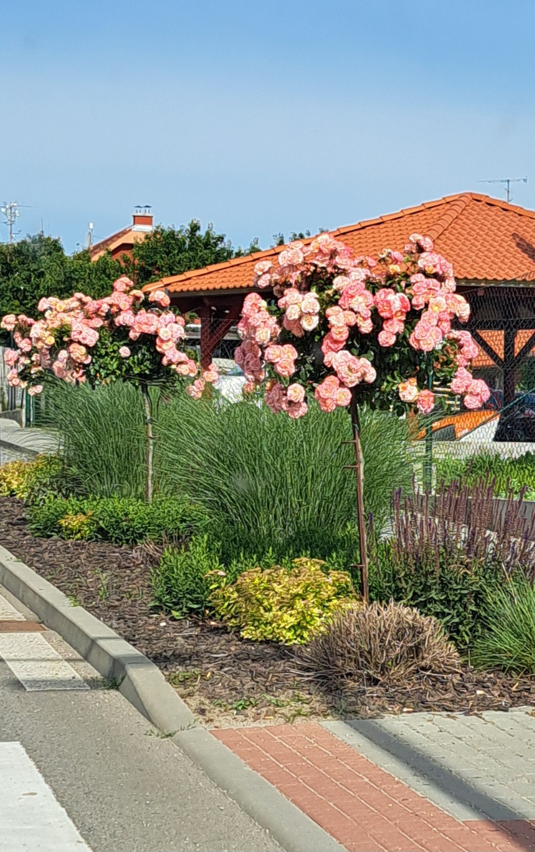 Apartmány Za Dvorem foto 3