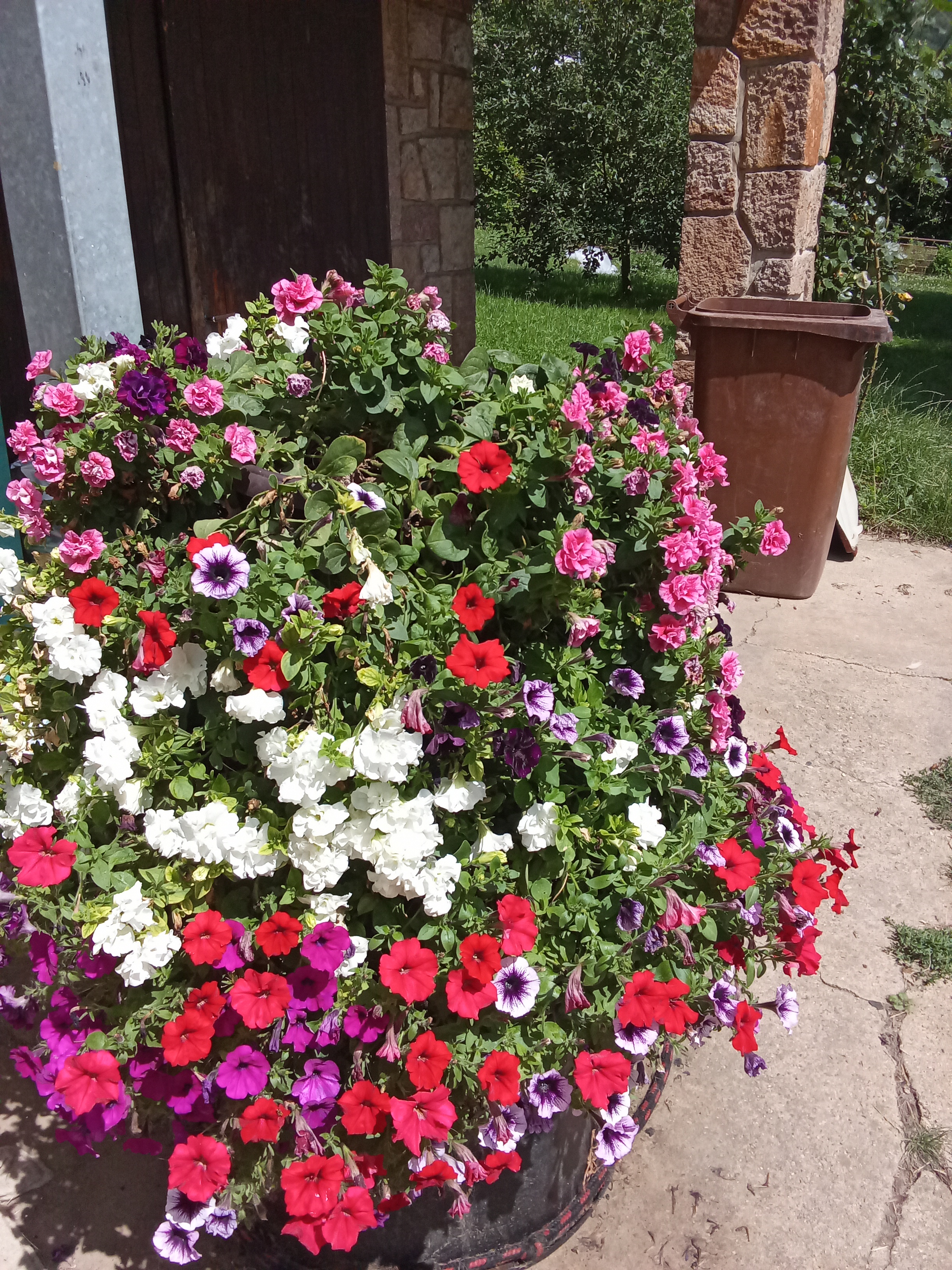 Rodinná farma Kratochvíl, s.r.o. foto 4