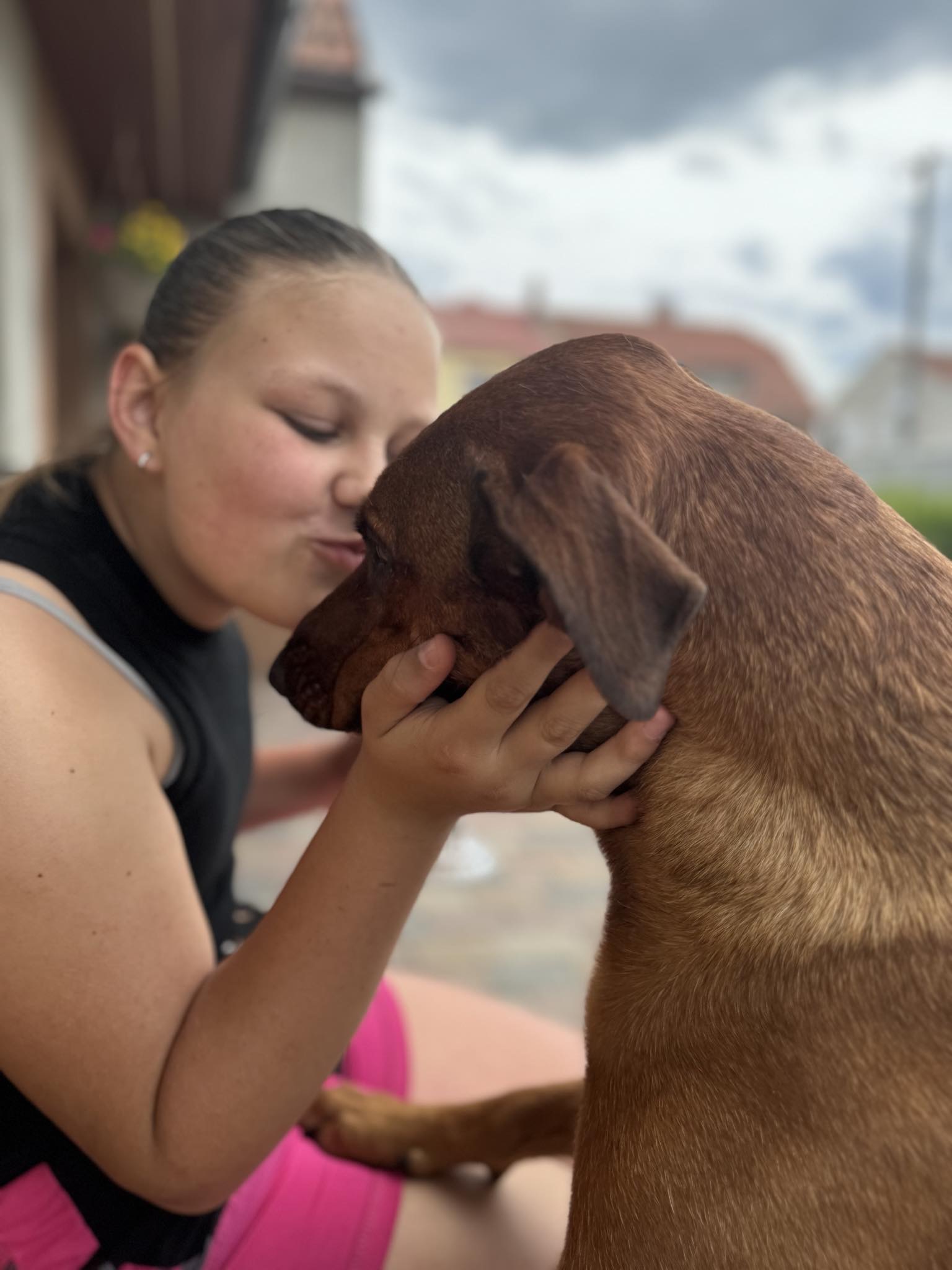 Hotel a školka pro psy Dalmond foto 6